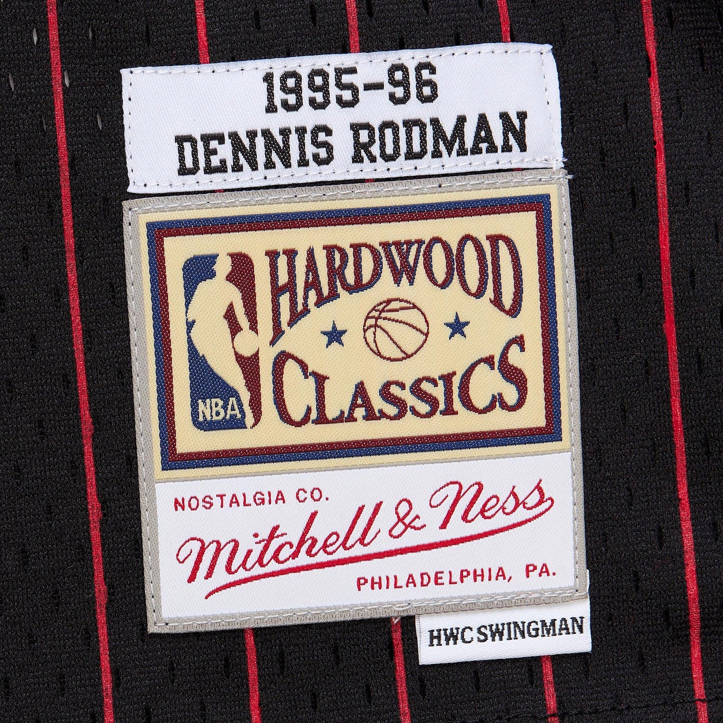 Youth Chicago Bulls Dennis Rodman Black 1995/96 Swingman Jersey