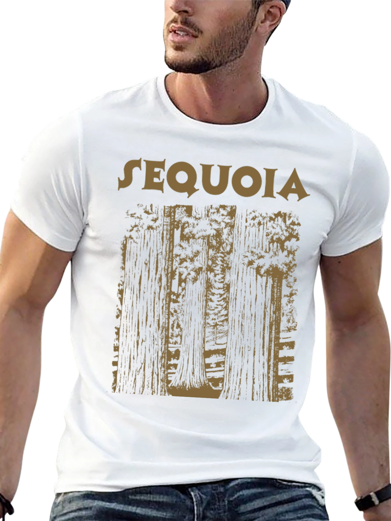 Sequoia Forest Graphic Tee - Black Cotton T-Shirt