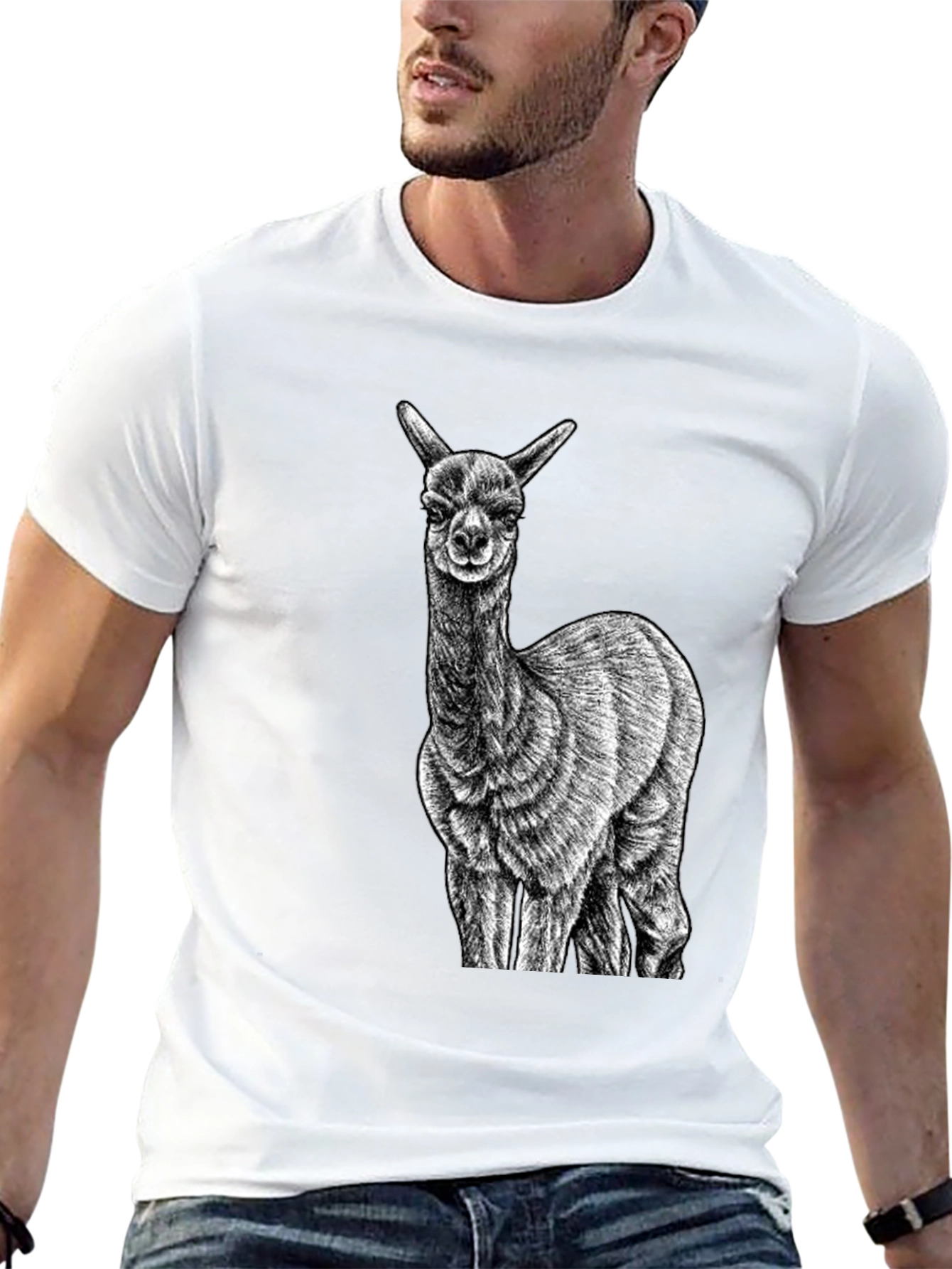 Alpaca Graphic Tee - Black Cotton T-Shirt