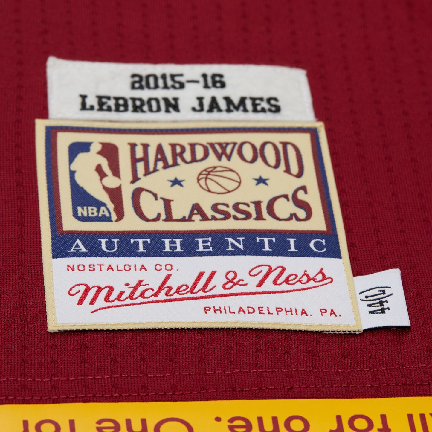 Men's Cleveland Cavaliers LeBron James Mitchell & Ness Wine Hardwood Classics 2015/16 Authentic Jersey