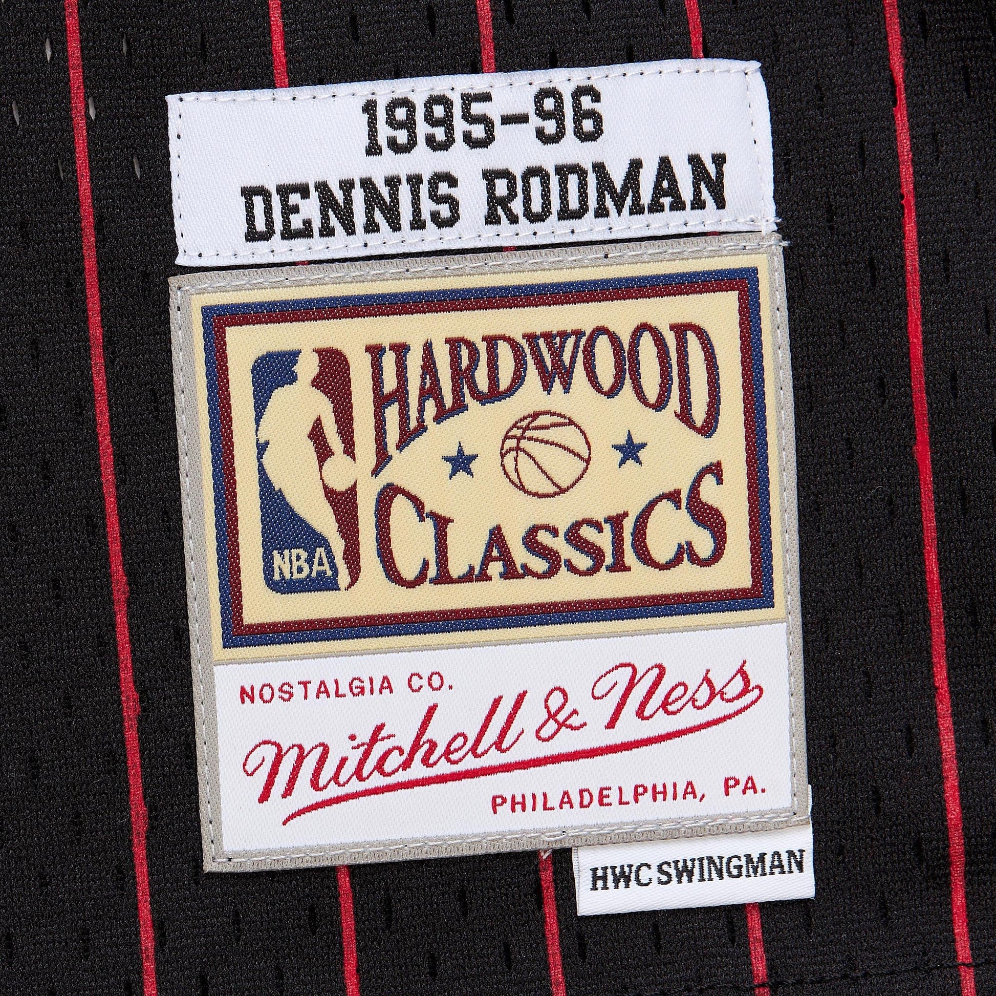 Youth Chicago Bulls Dennis Rodman Black 1995/96 Swingman Jersey