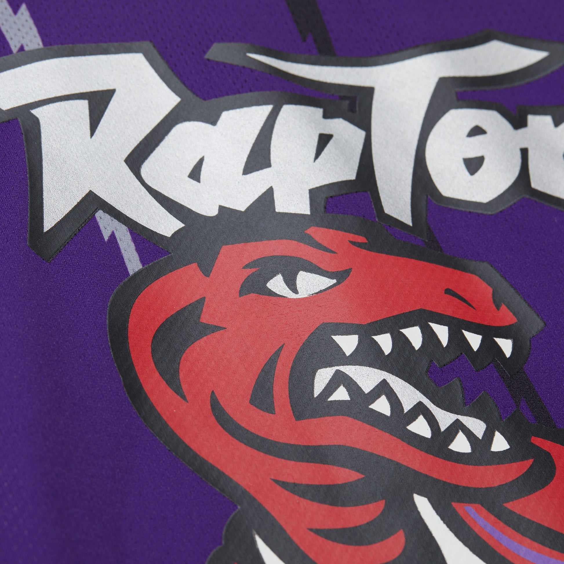 Unisex Toronto Raptors Vince Carter Mitchell & Ness Purple Maxxed Out Fashion Hockey Jersey