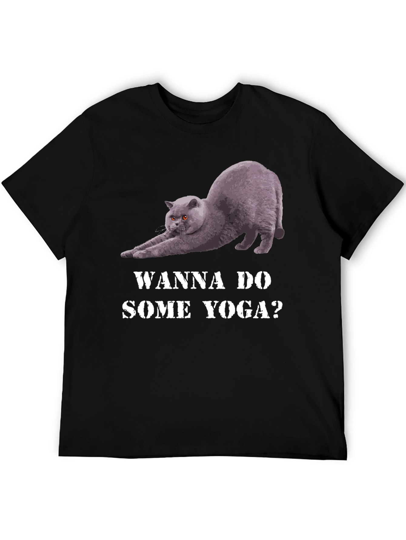 Yoga Cat Graphic Tee - Wanna Do Some Yoga?