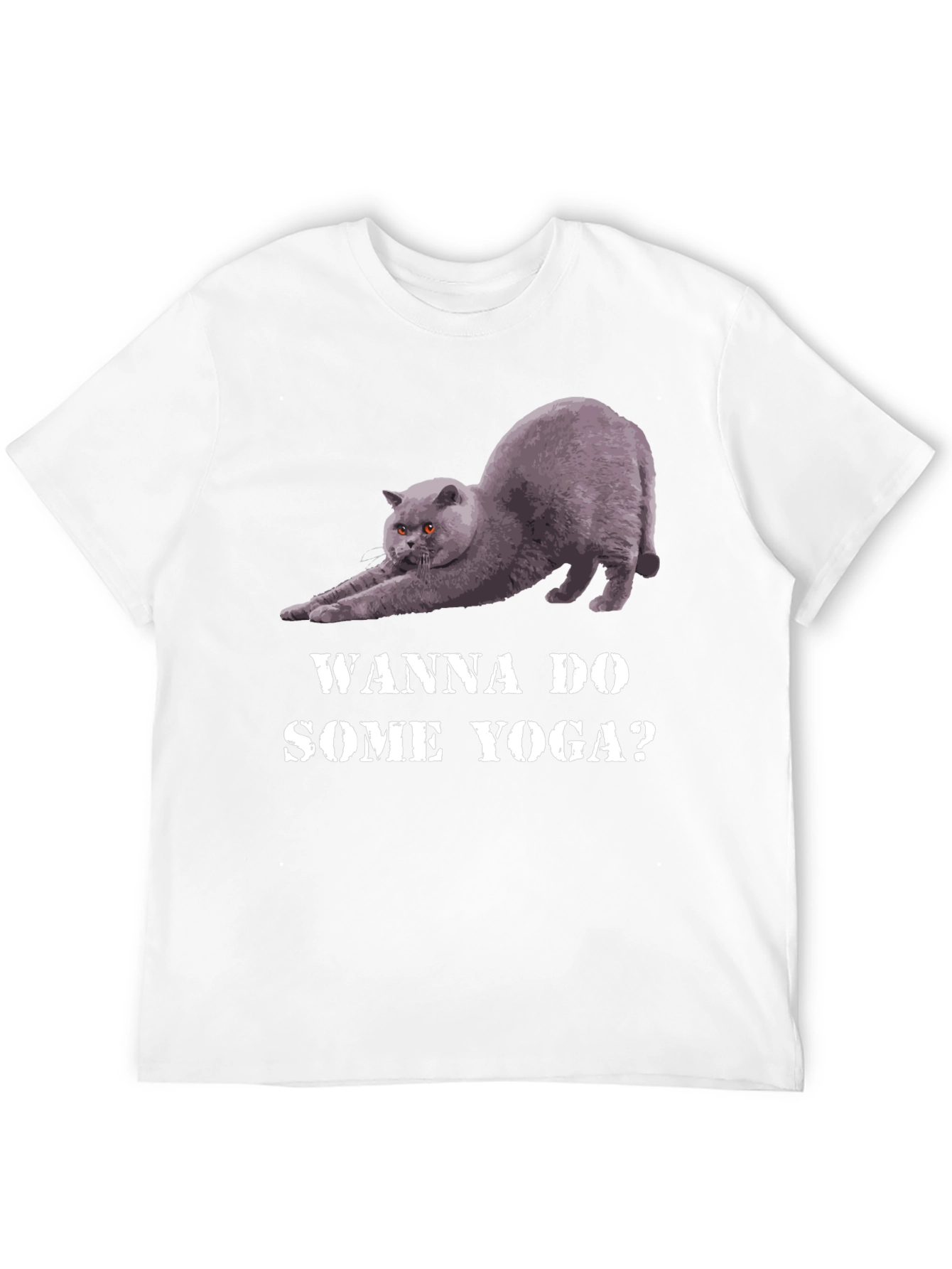 Yoga Cat Graphic Tee - Wanna Do Some Yoga?