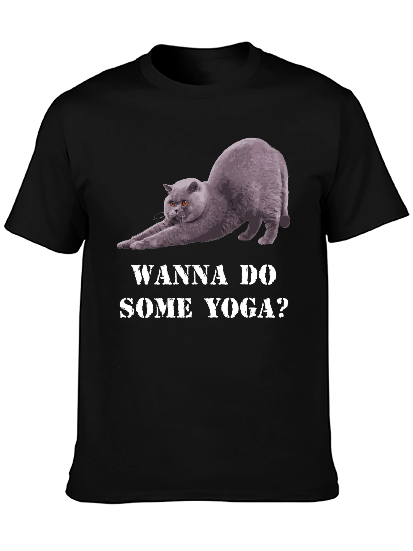 Yoga Cat Graphic Tee - Wanna Do Some Yoga?