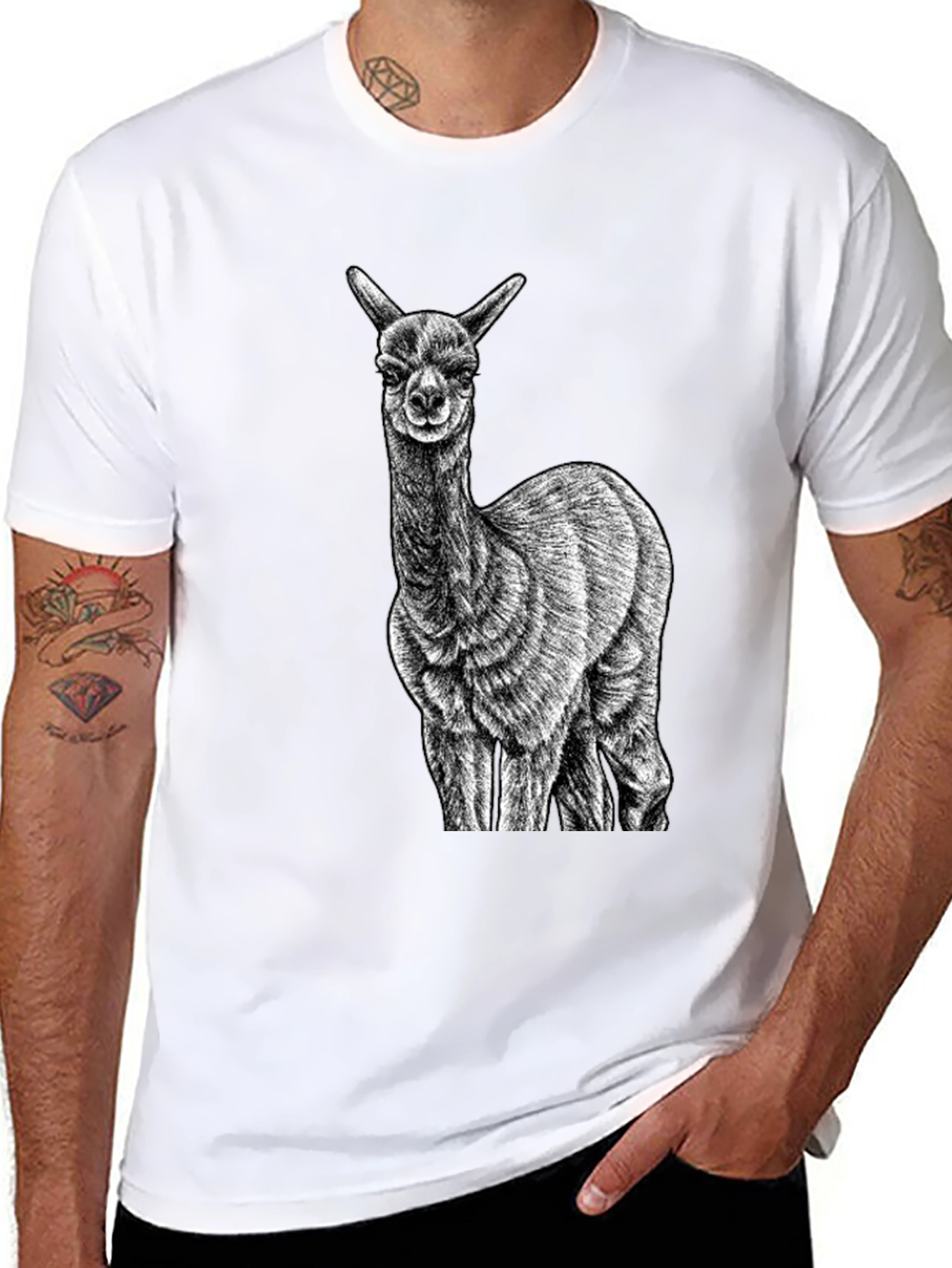 Alpaca Graphic Tee - Black Cotton T-Shirt