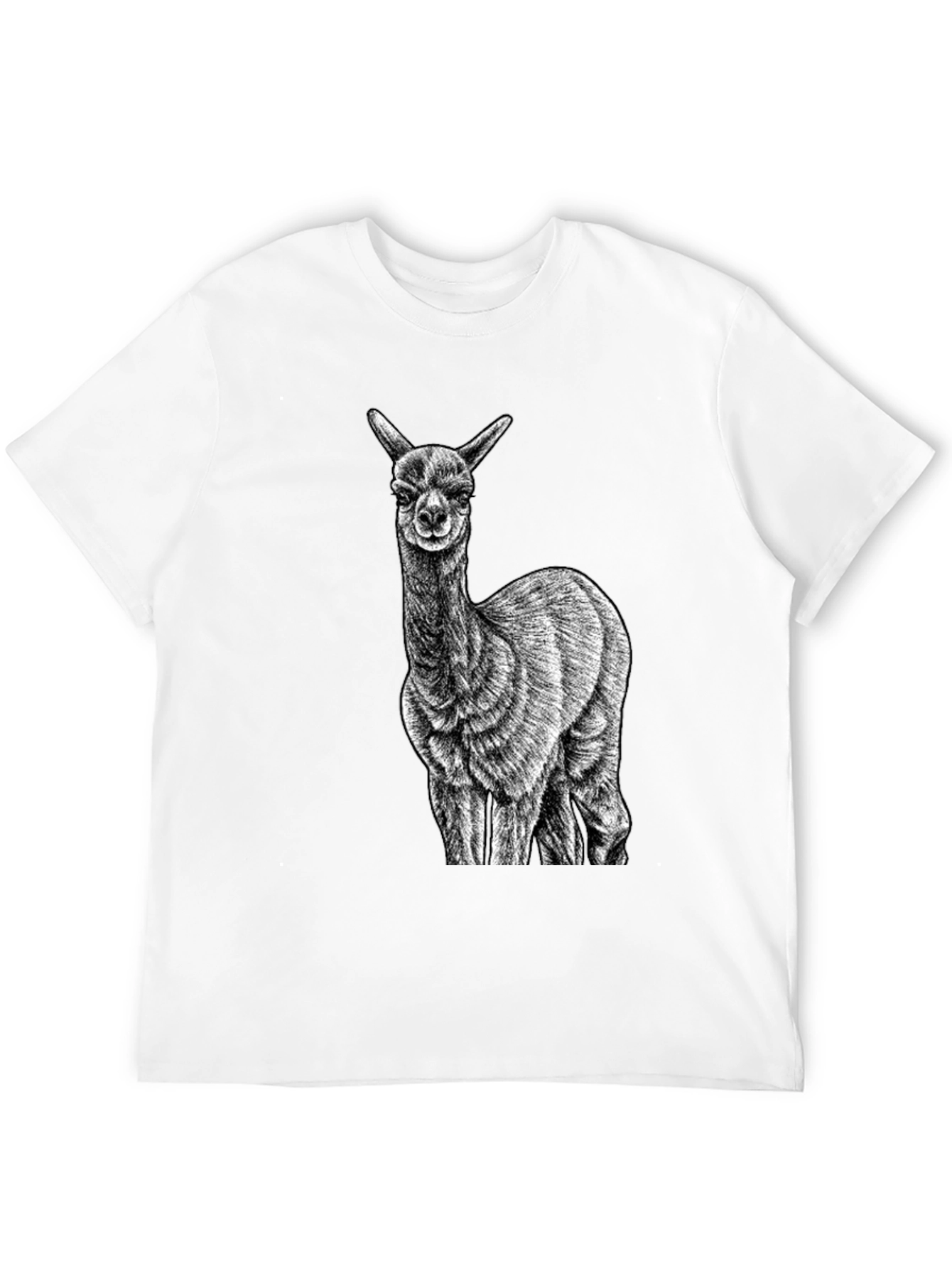 Alpaca Graphic Tee - Black Cotton T-Shirt