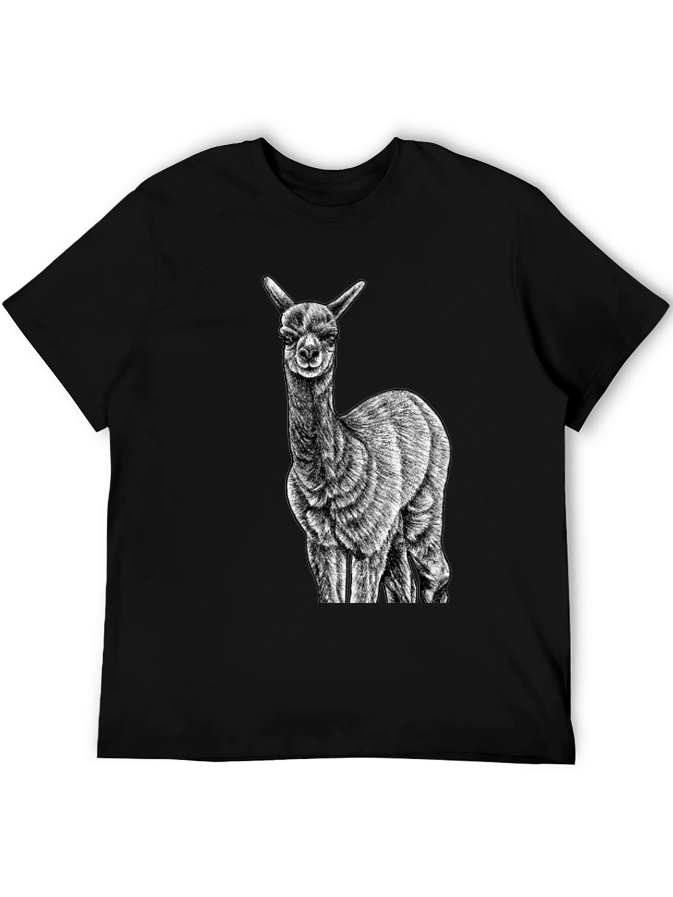 Alpaca Graphic Tee - Black Cotton T-Shirt