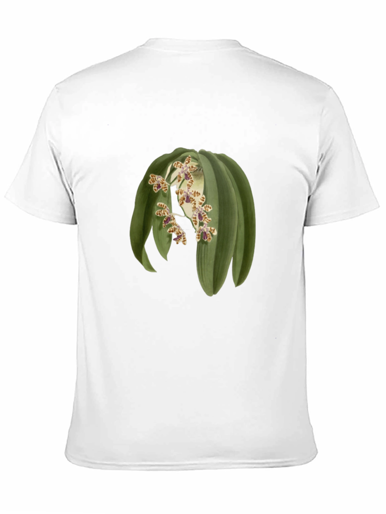 Botanical Print Tee - Unique Graphic T-Shirt
