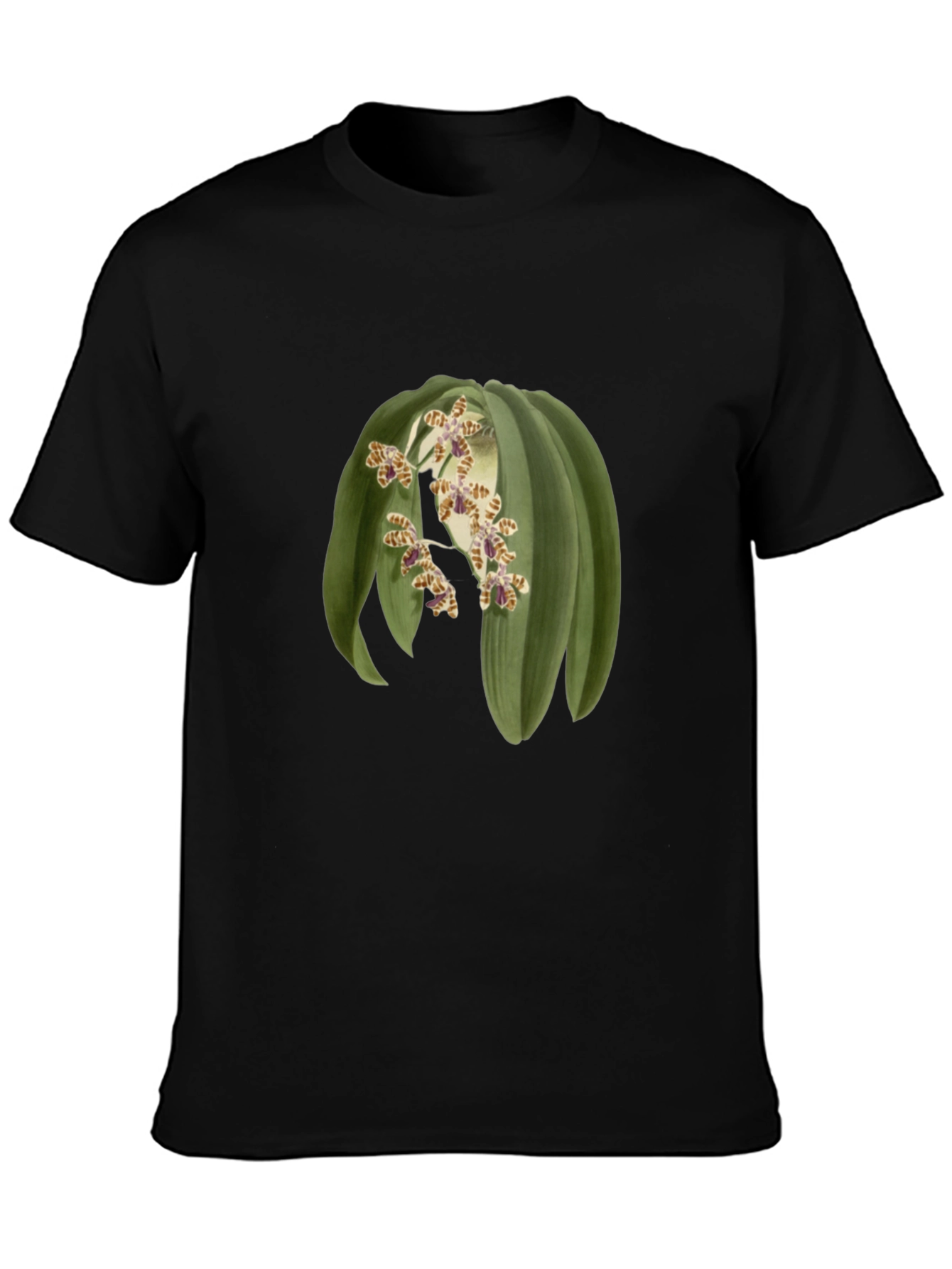 Botanical Print Tee - Unique Graphic T-Shirt