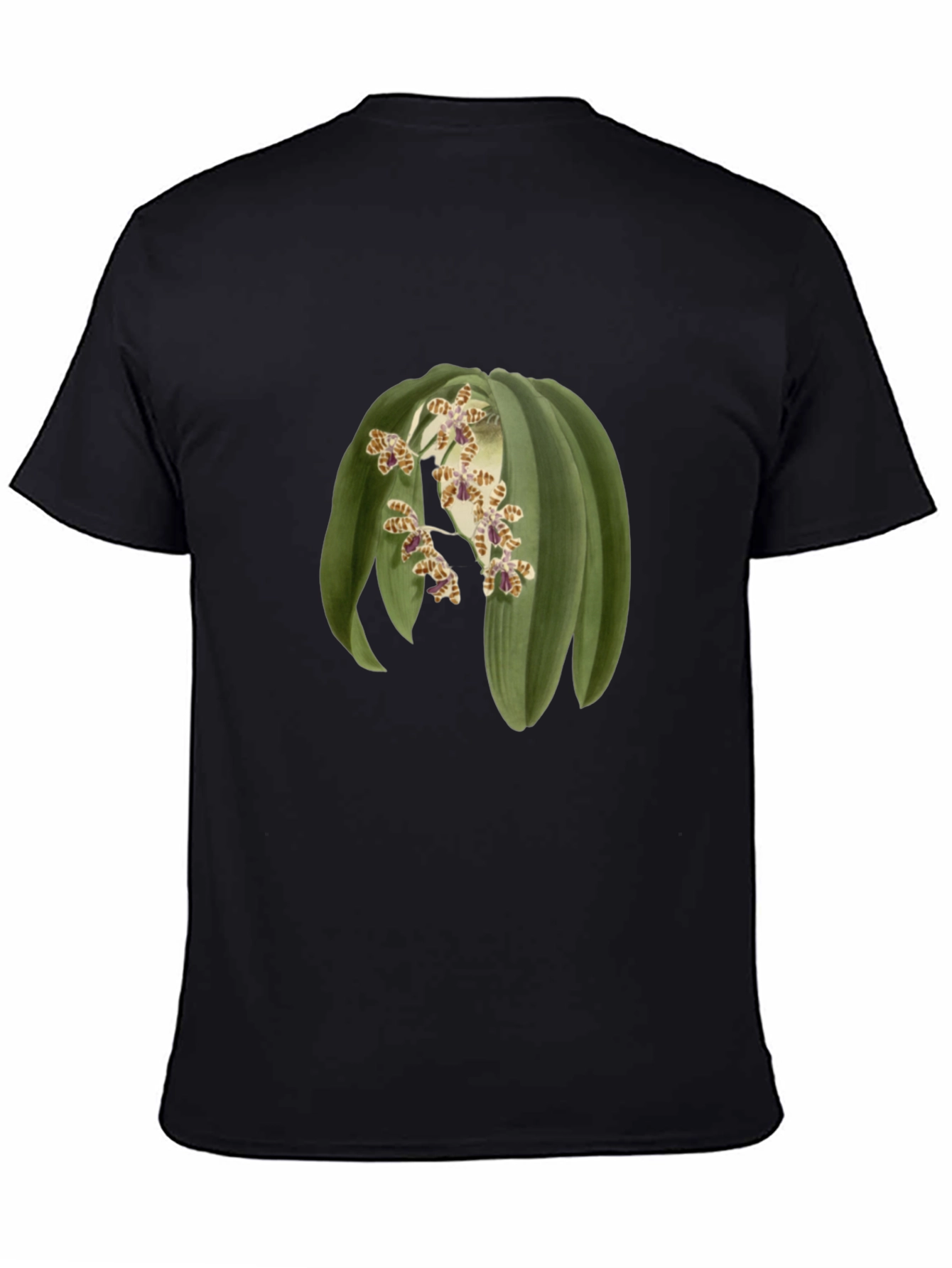 Botanical Print Tee - Unique Graphic T-Shirt