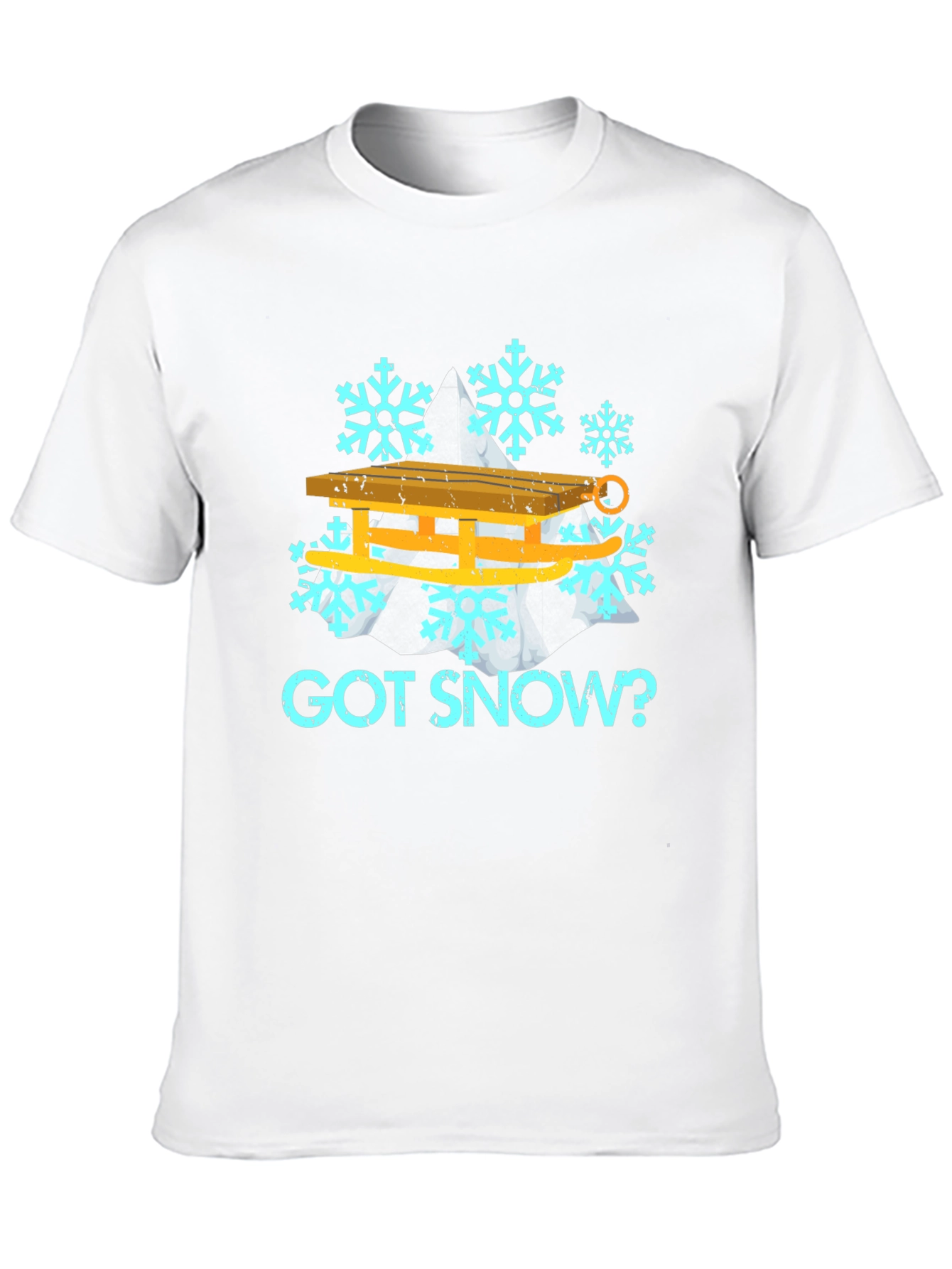Got Snow? Winter Sledding Graphic Tee