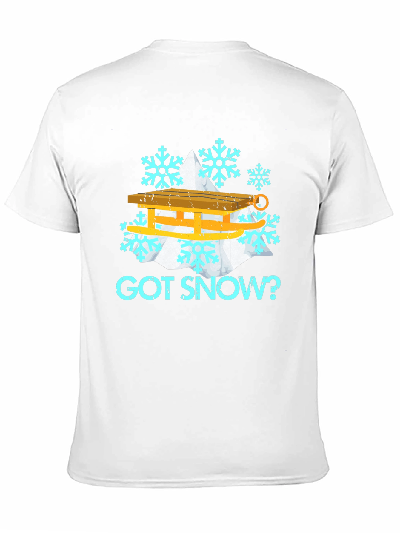 Got Snow? Winter Sledding Graphic Tee