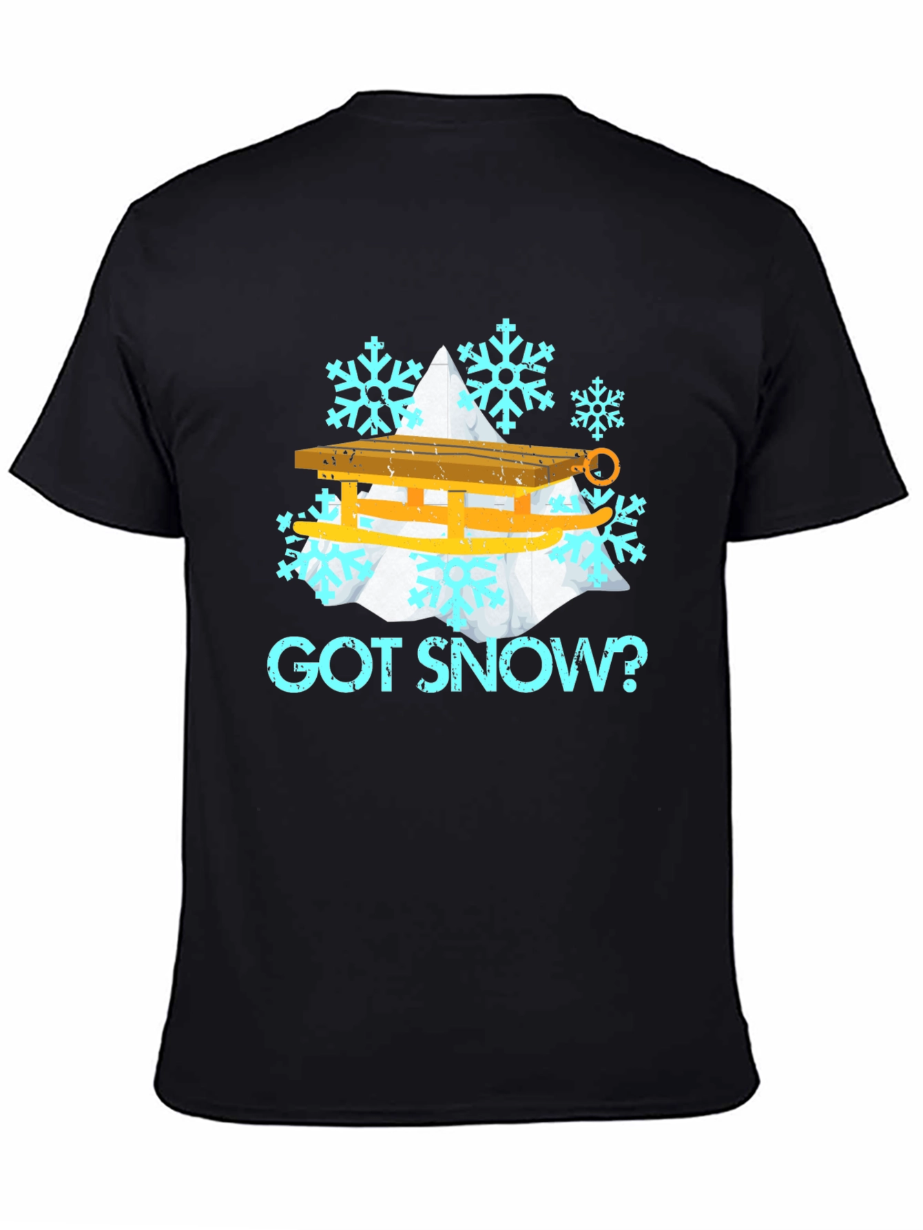 Got Snow? Winter Sledding Graphic Tee