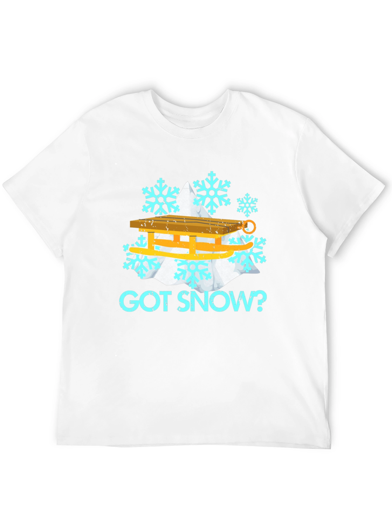 Got Snow? Winter Sledding Graphic Tee