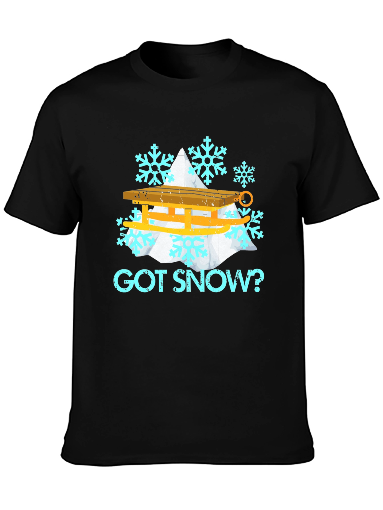 Got Snow? Winter Sledding Graphic Tee