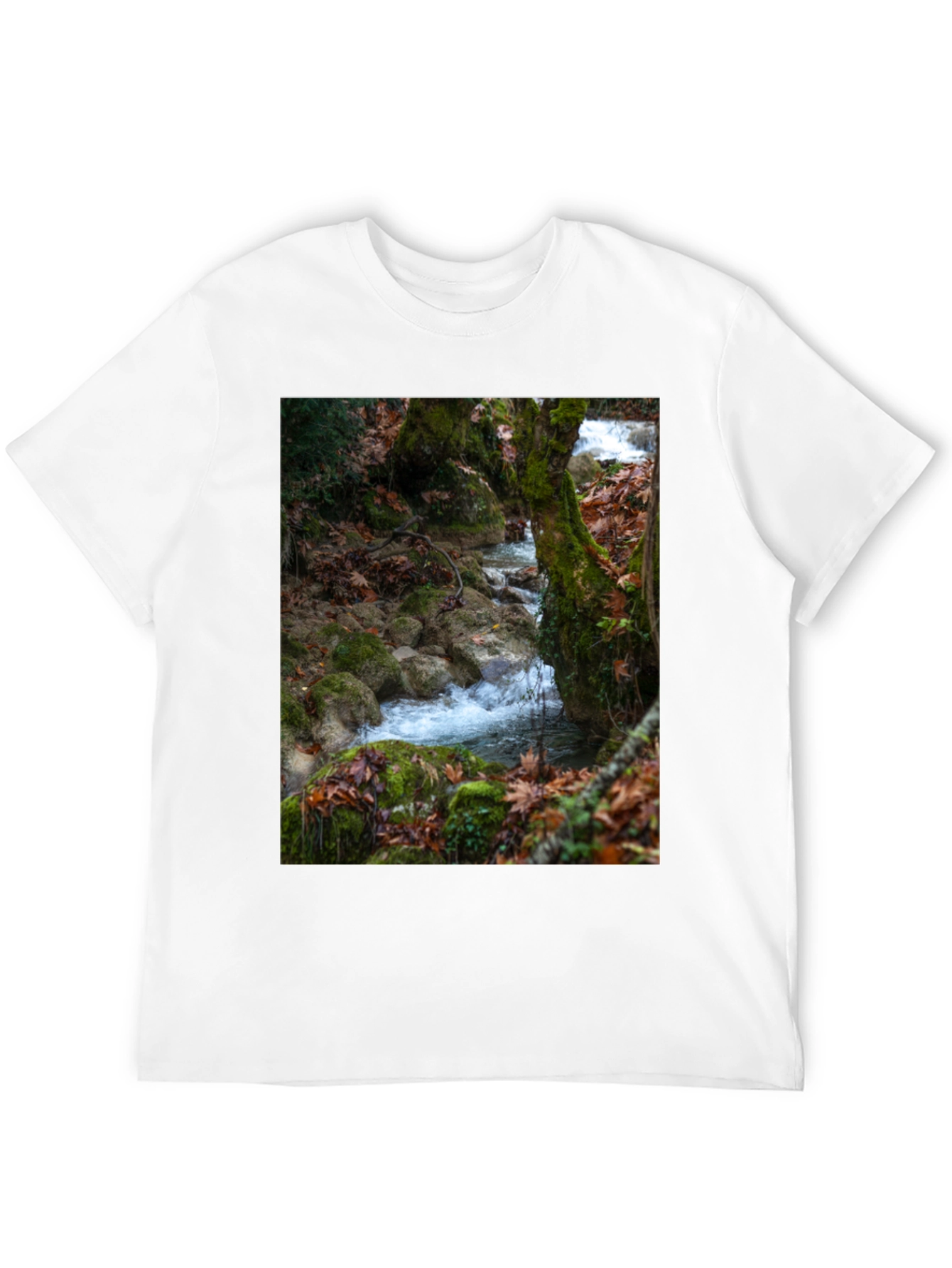 Nature Stream Graphic Tee
