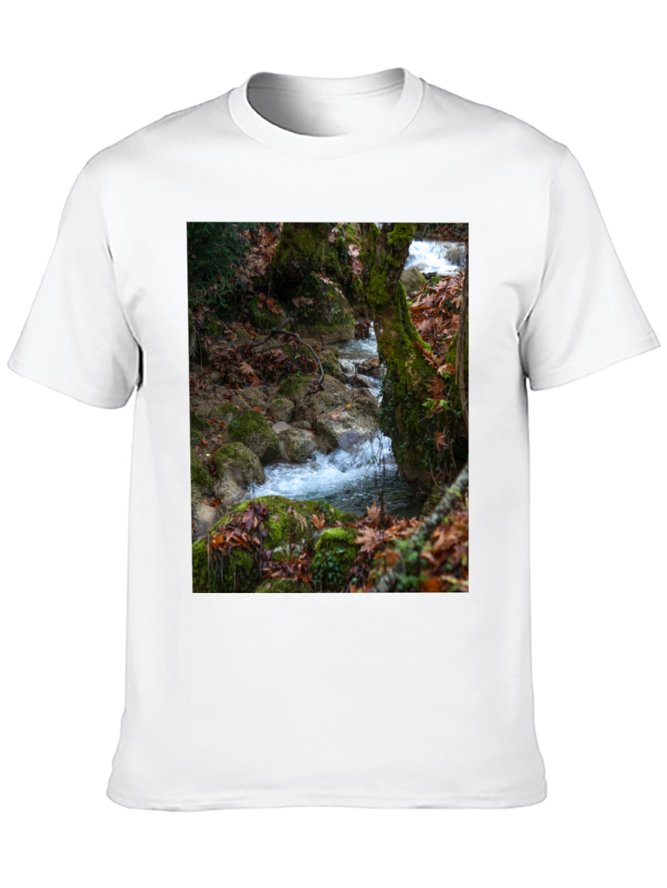 Nature Stream Graphic Tee