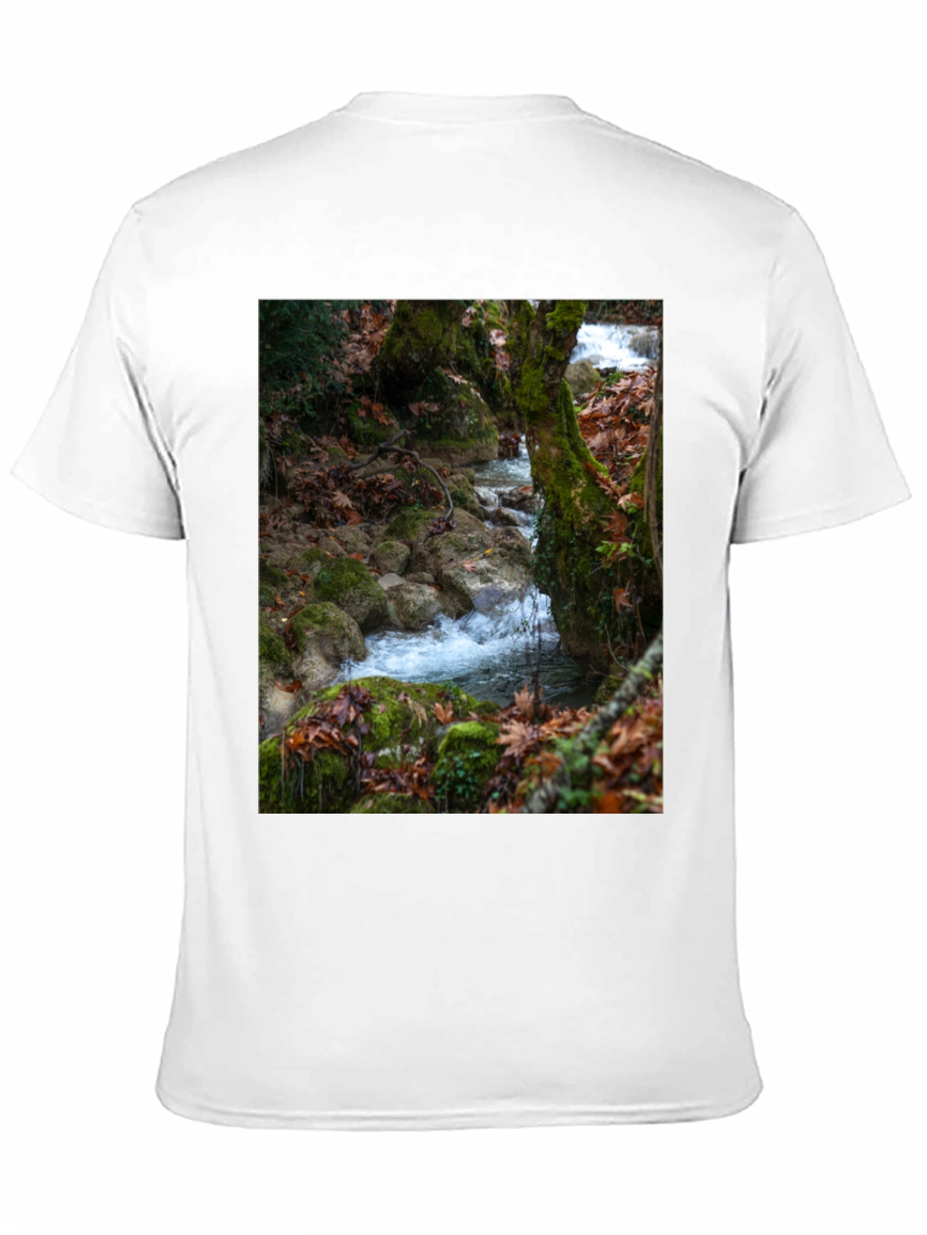 Nature Stream Graphic Tee