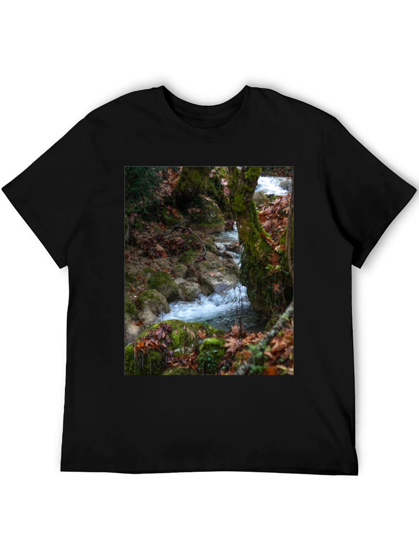 Nature Stream Graphic Tee
