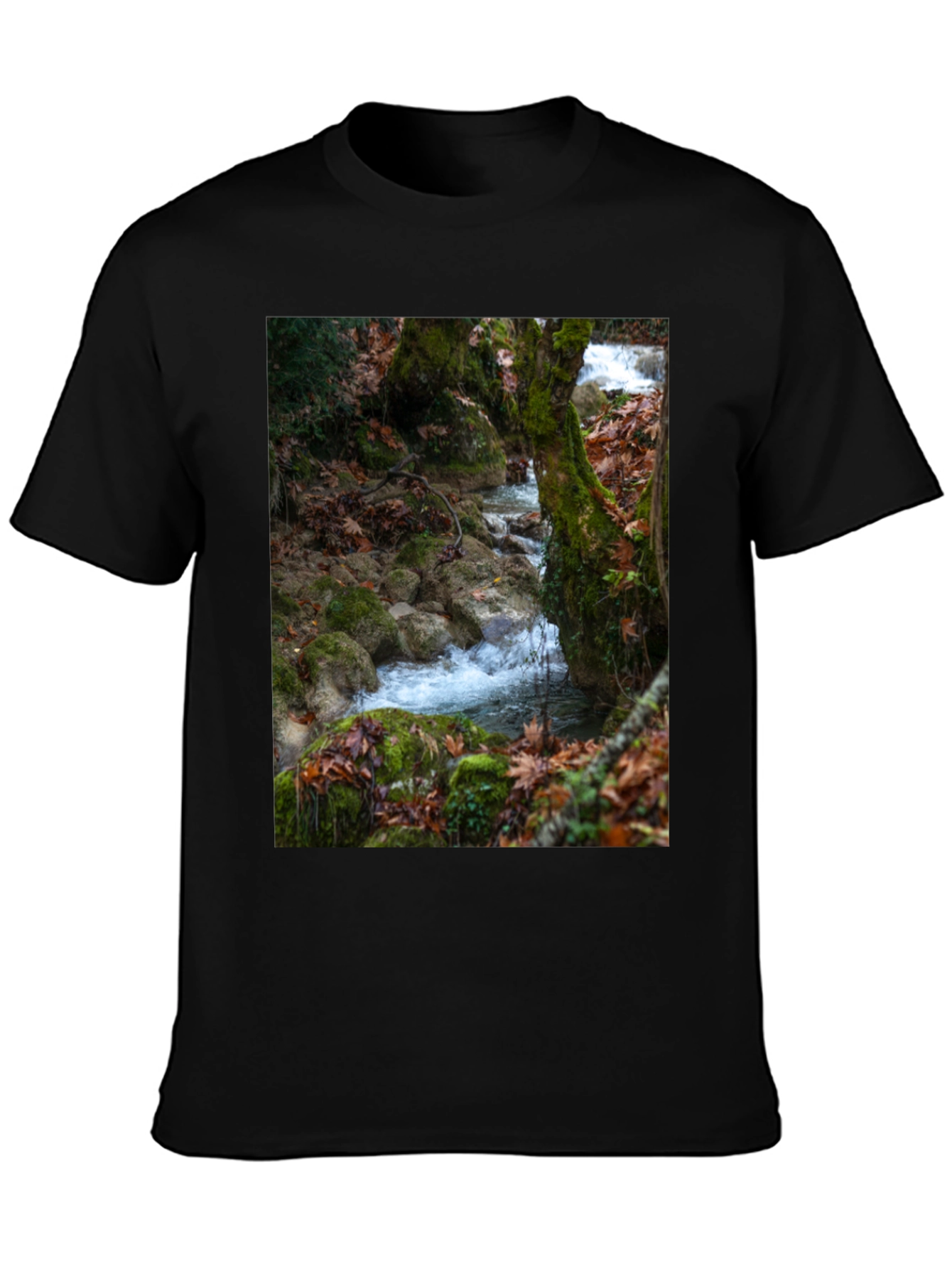 Nature Stream Graphic Tee