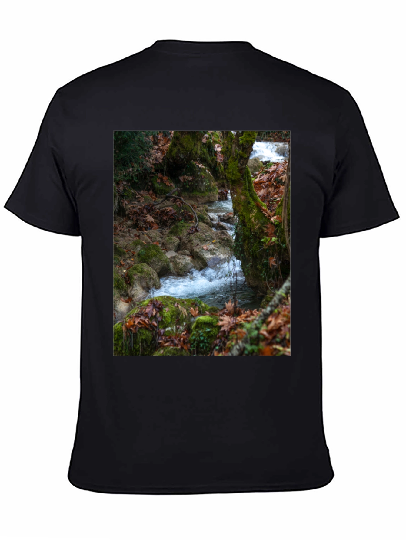 Nature Stream Graphic Tee