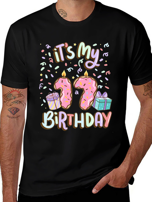 Its My 17th Birthday T-Shirt