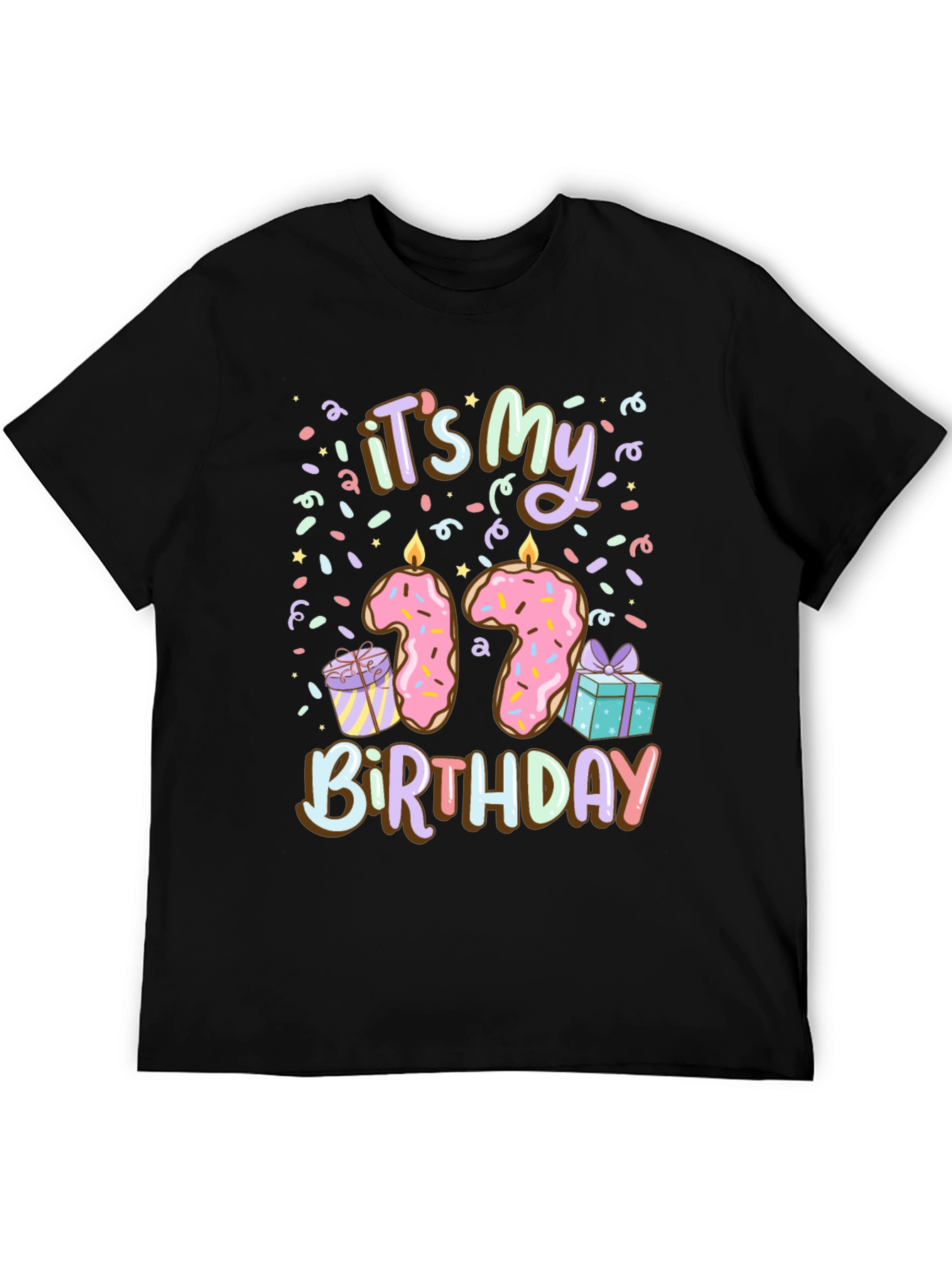 Its My 17th Birthday T-Shirt