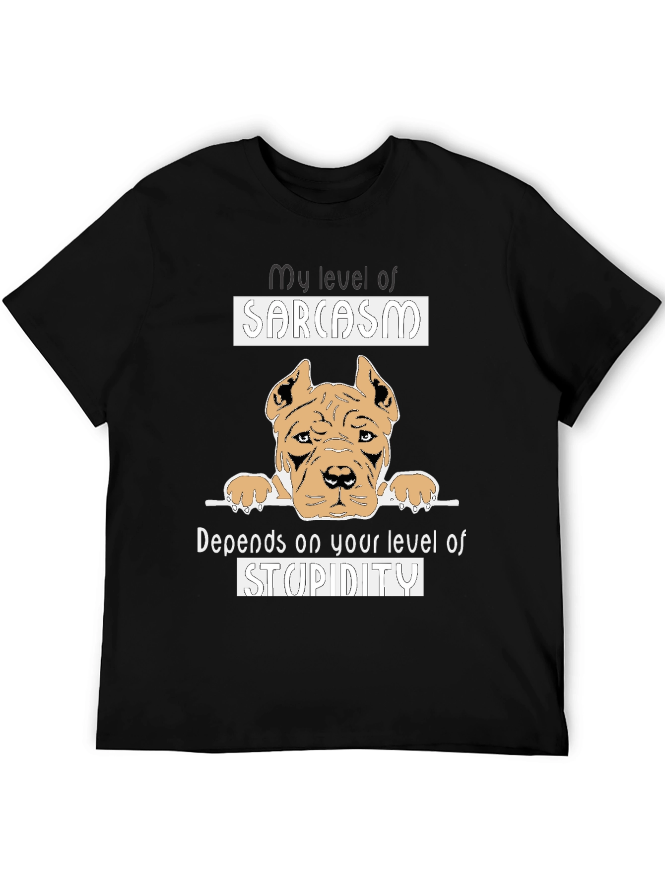 Sarcasm Level Graphic Tee