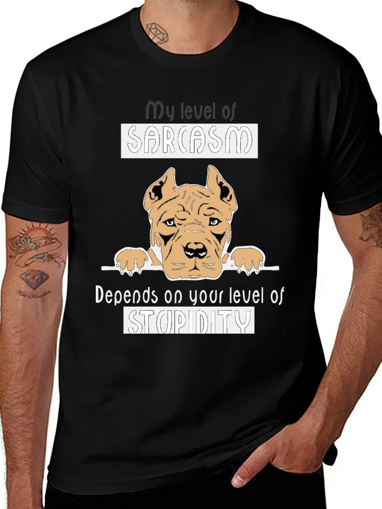 Sarcasm Level Graphic Tee