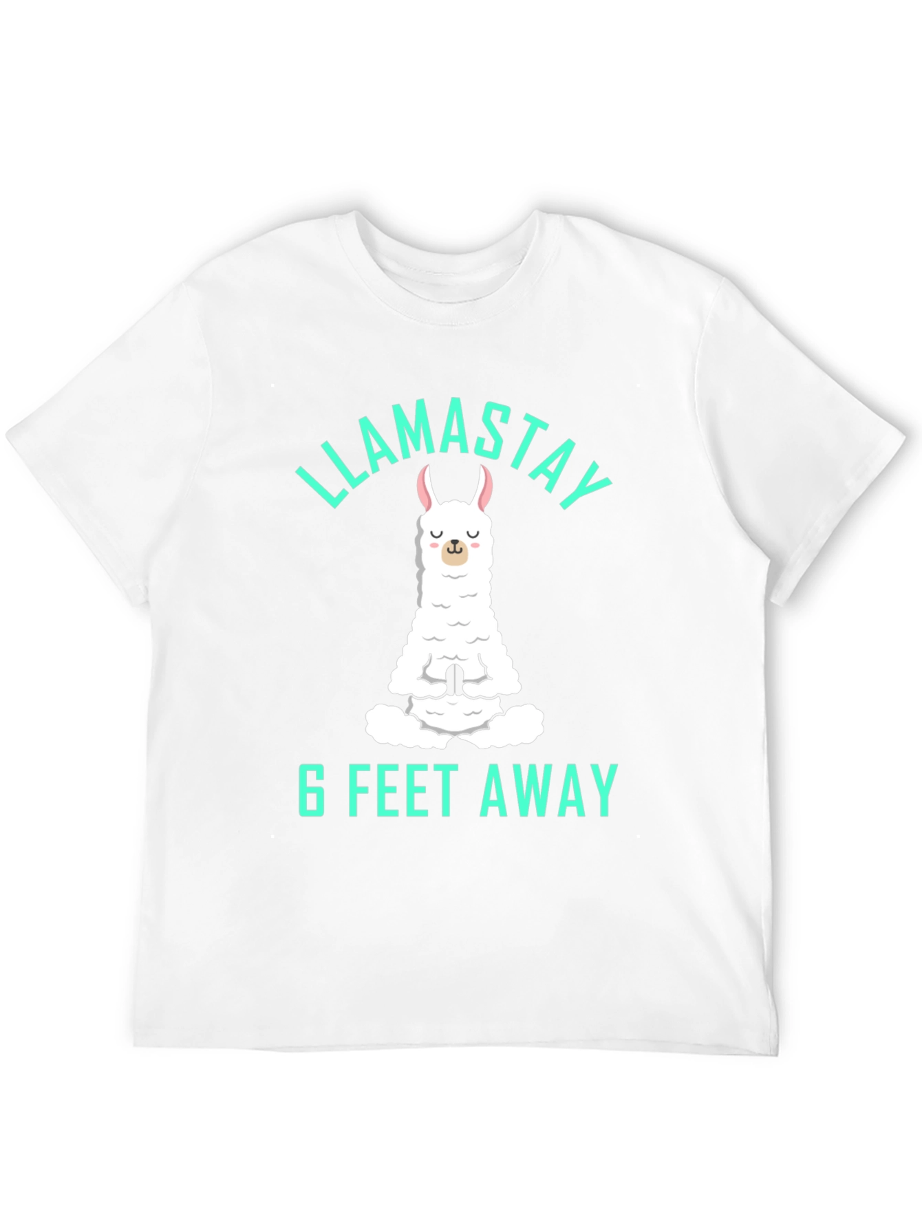 Llamastay 6 Feet Away Graphic Tee