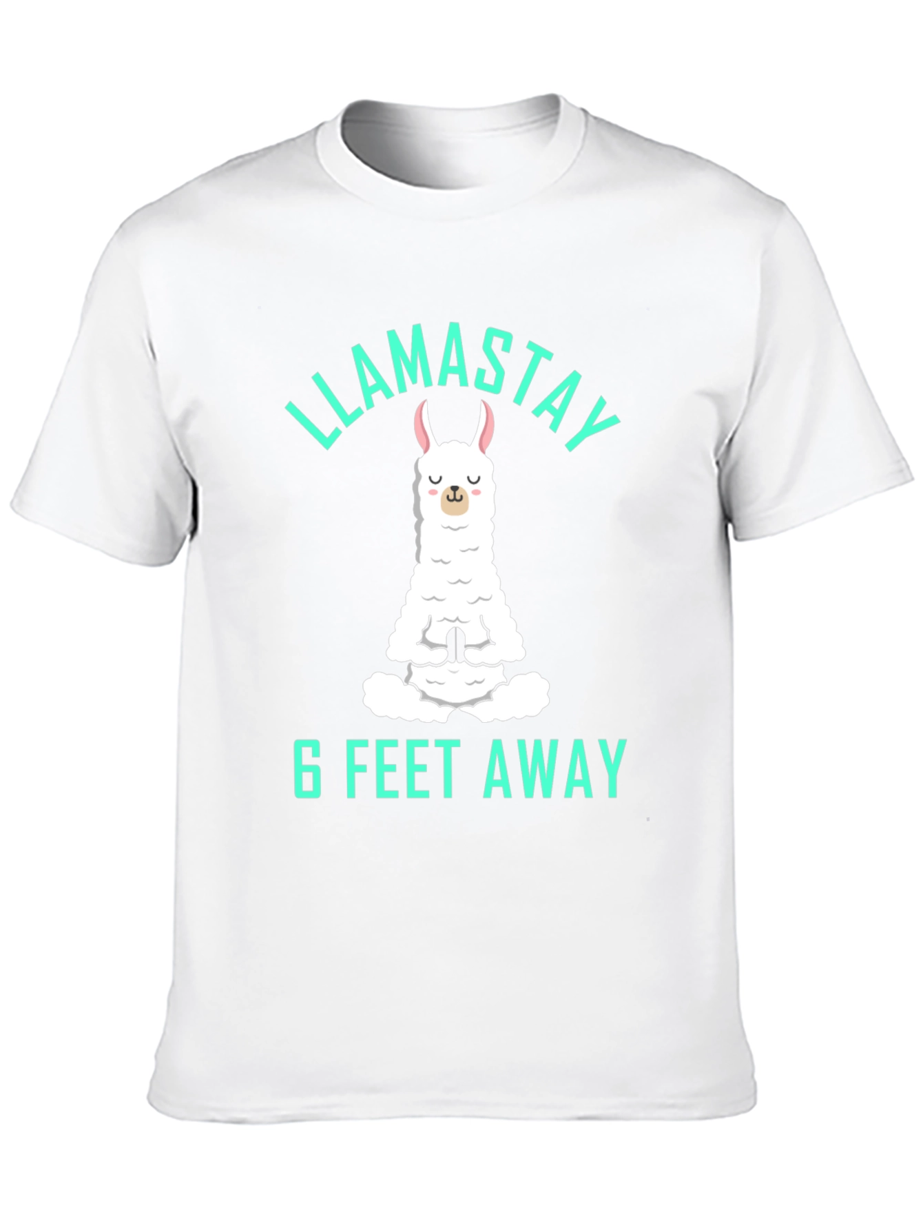 Llamastay 6 Feet Away Graphic Tee