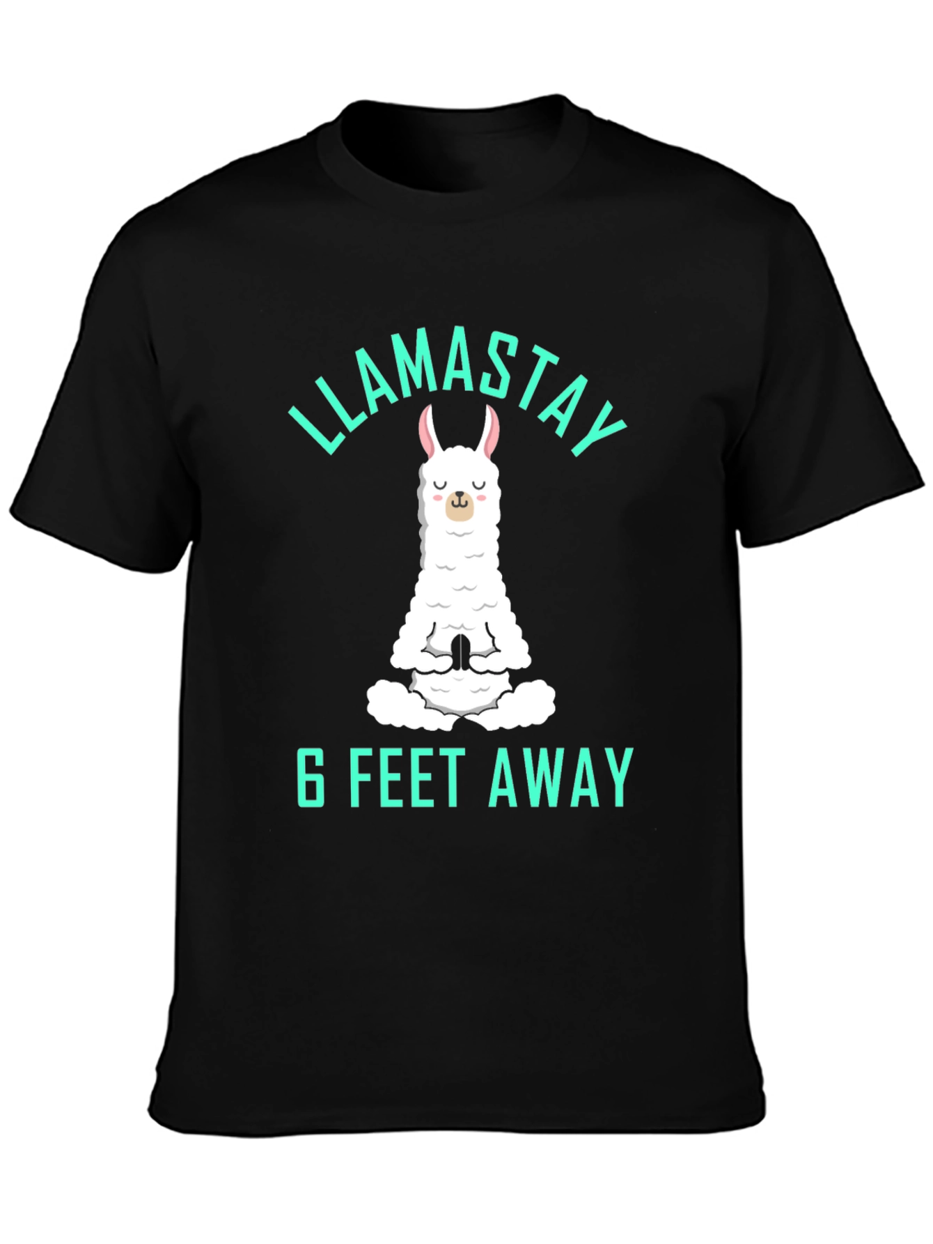 Llamastay 6 Feet Away Graphic Tee