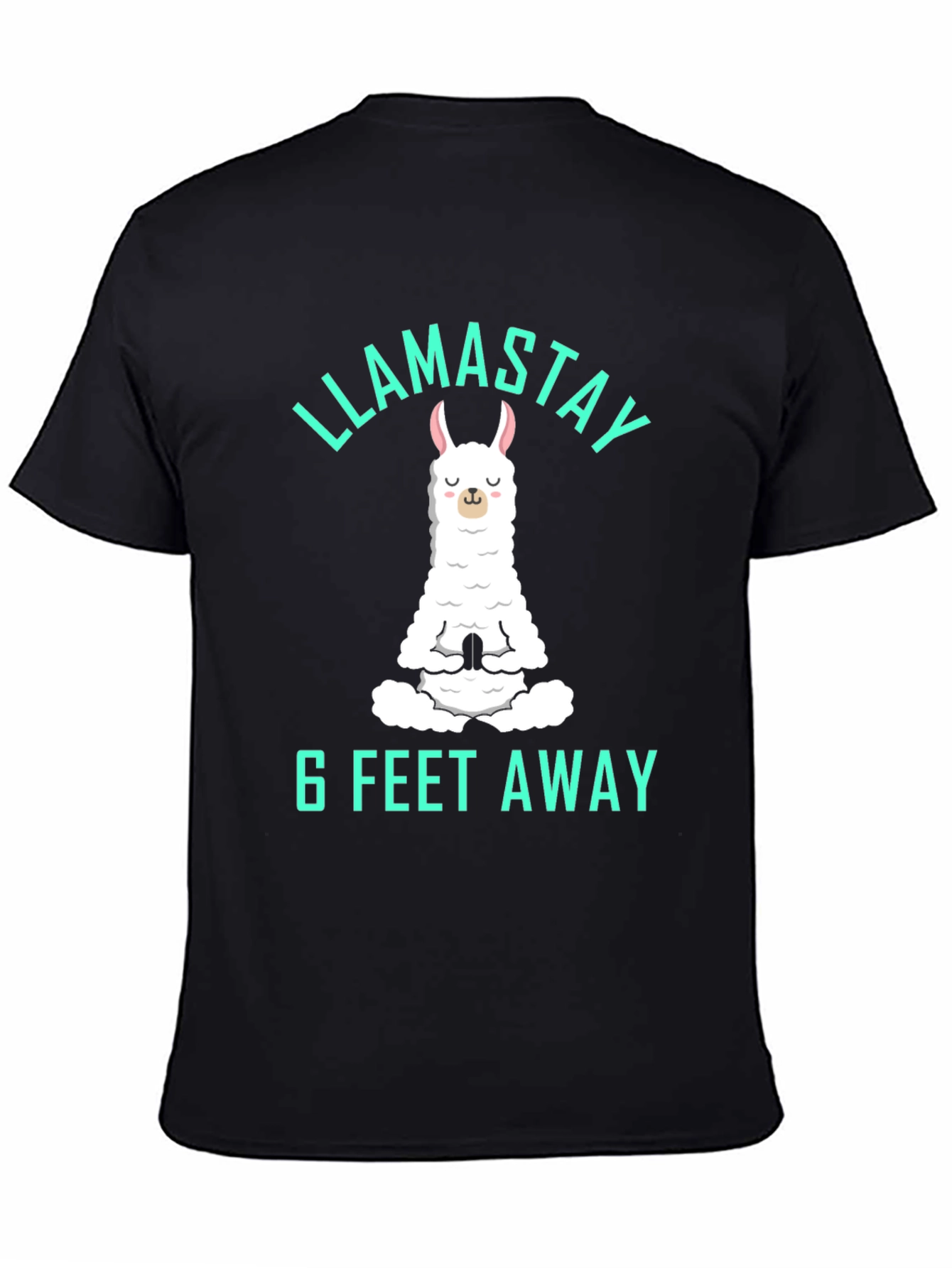 Llamastay 6 Feet Away Graphic Tee