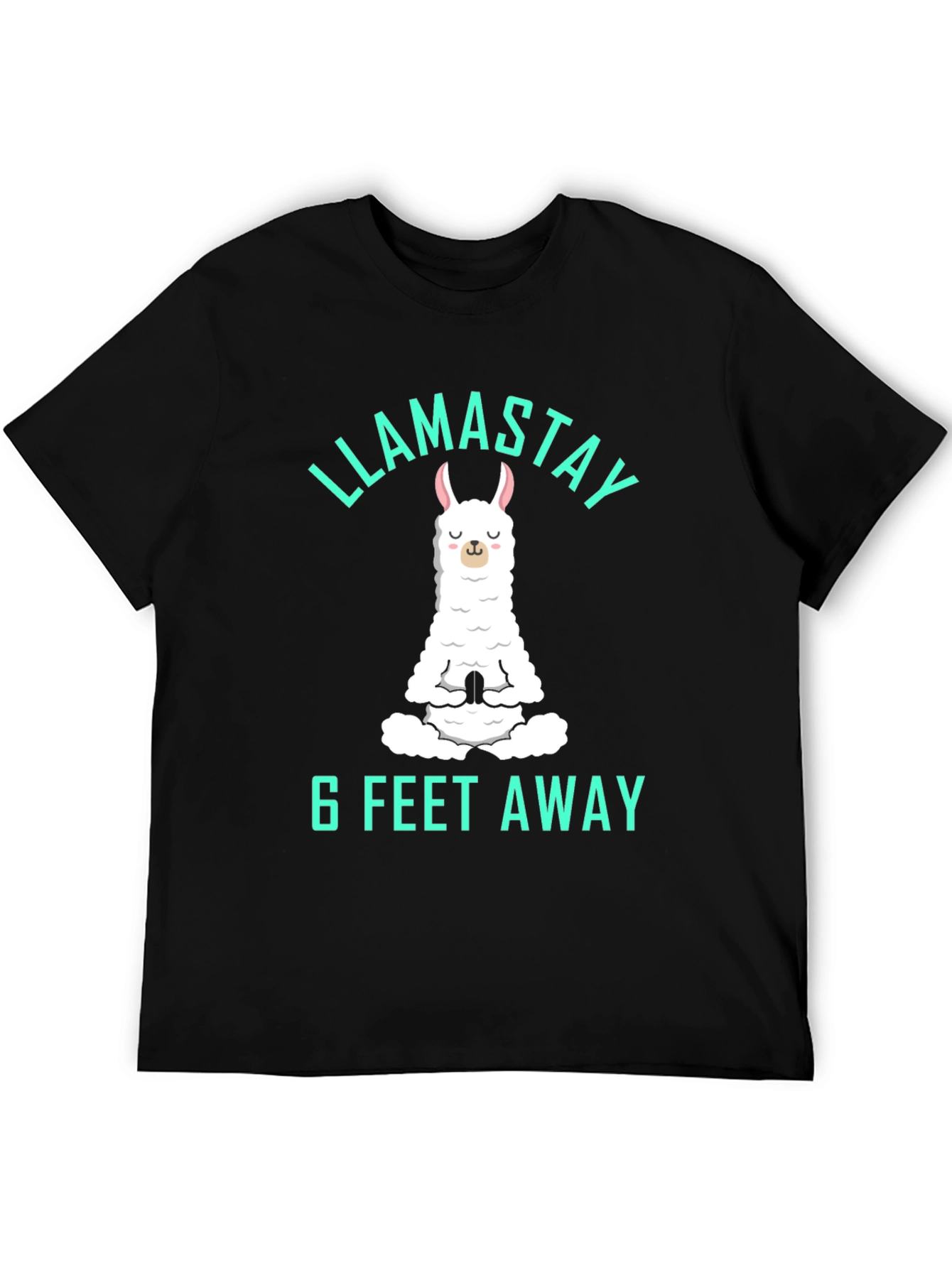Llamastay 6 Feet Away Graphic Tee
