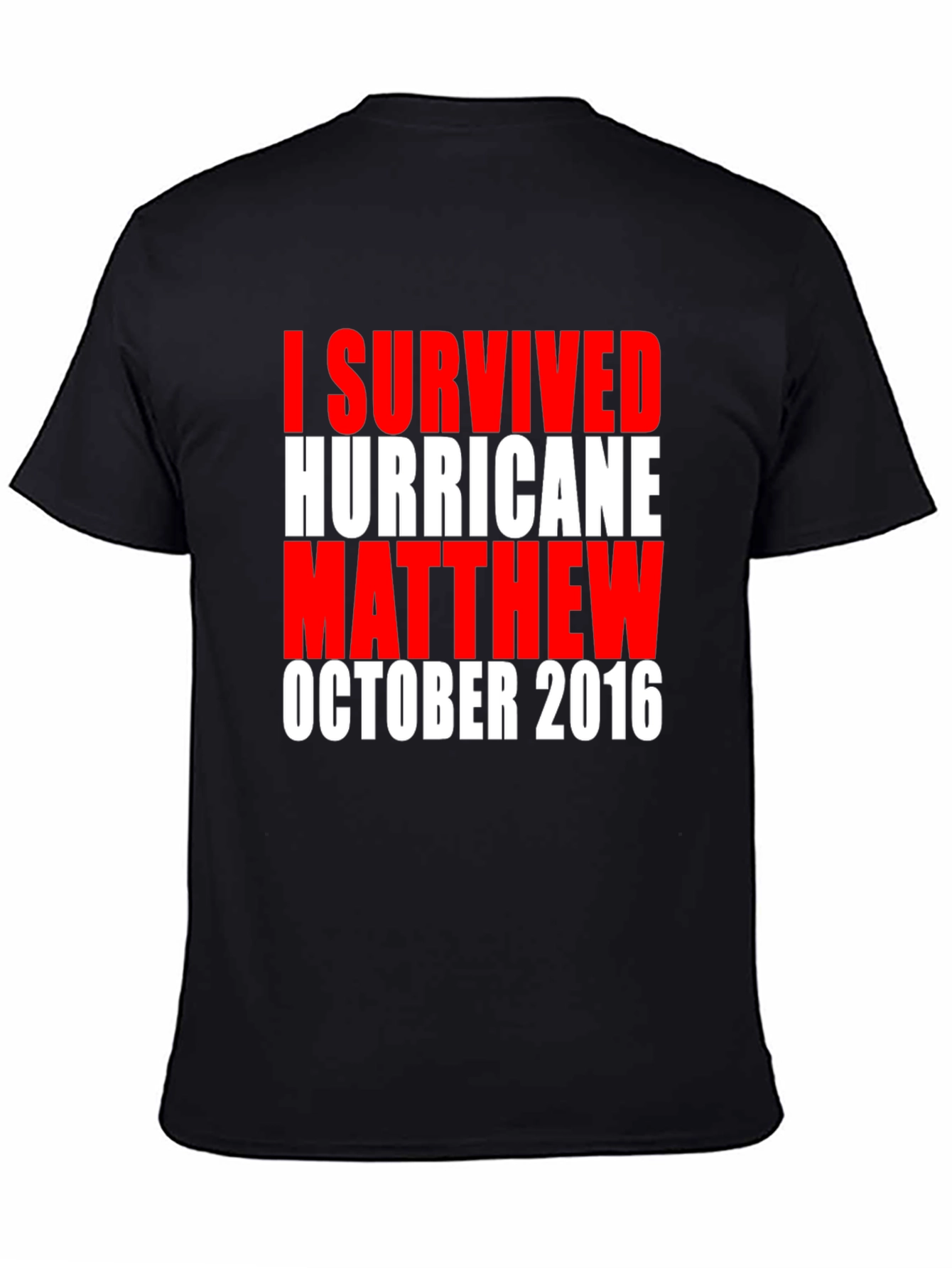 I Survived Hurricane Matthew Tee