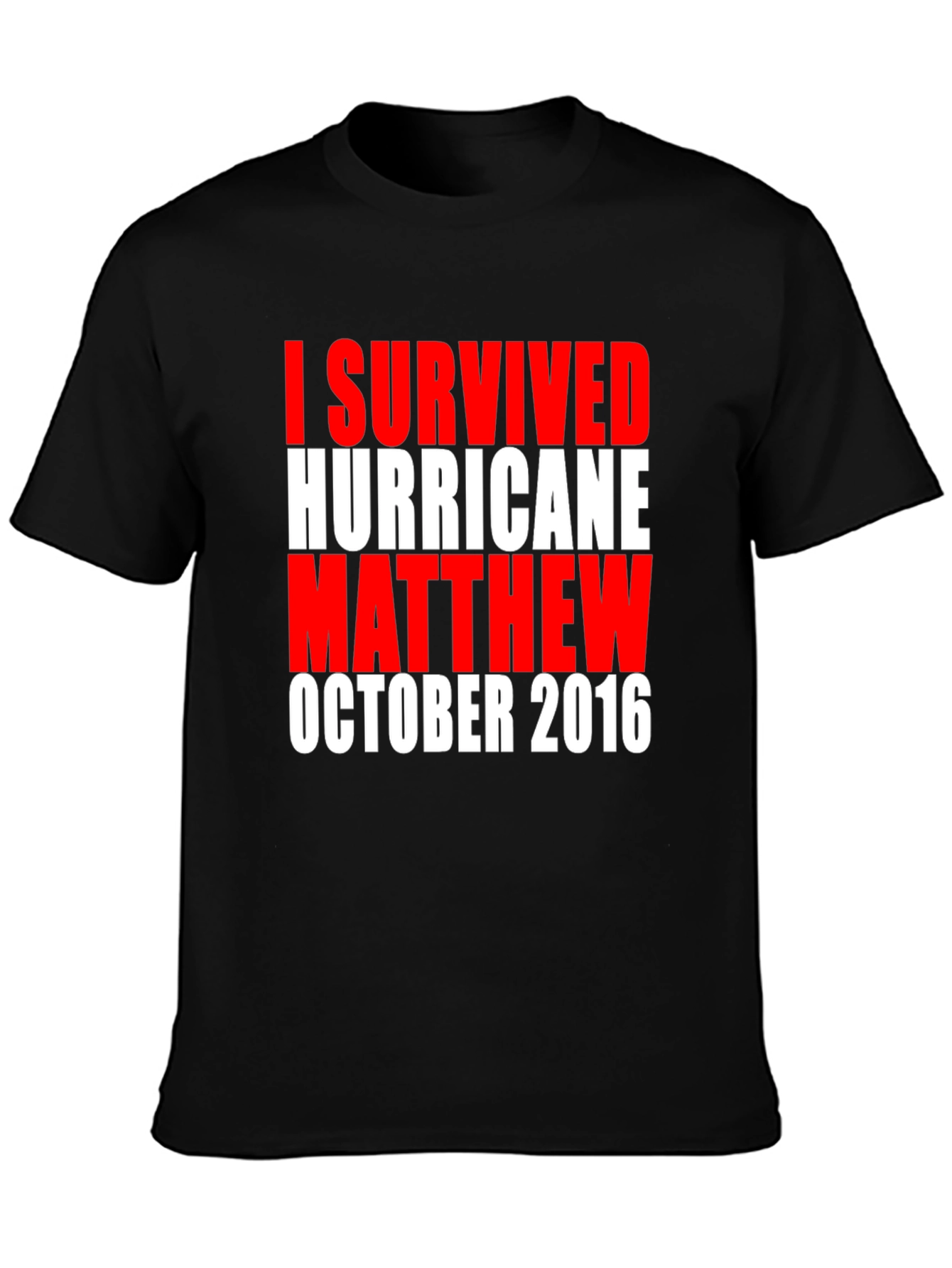 I Survived Hurricane Matthew Tee