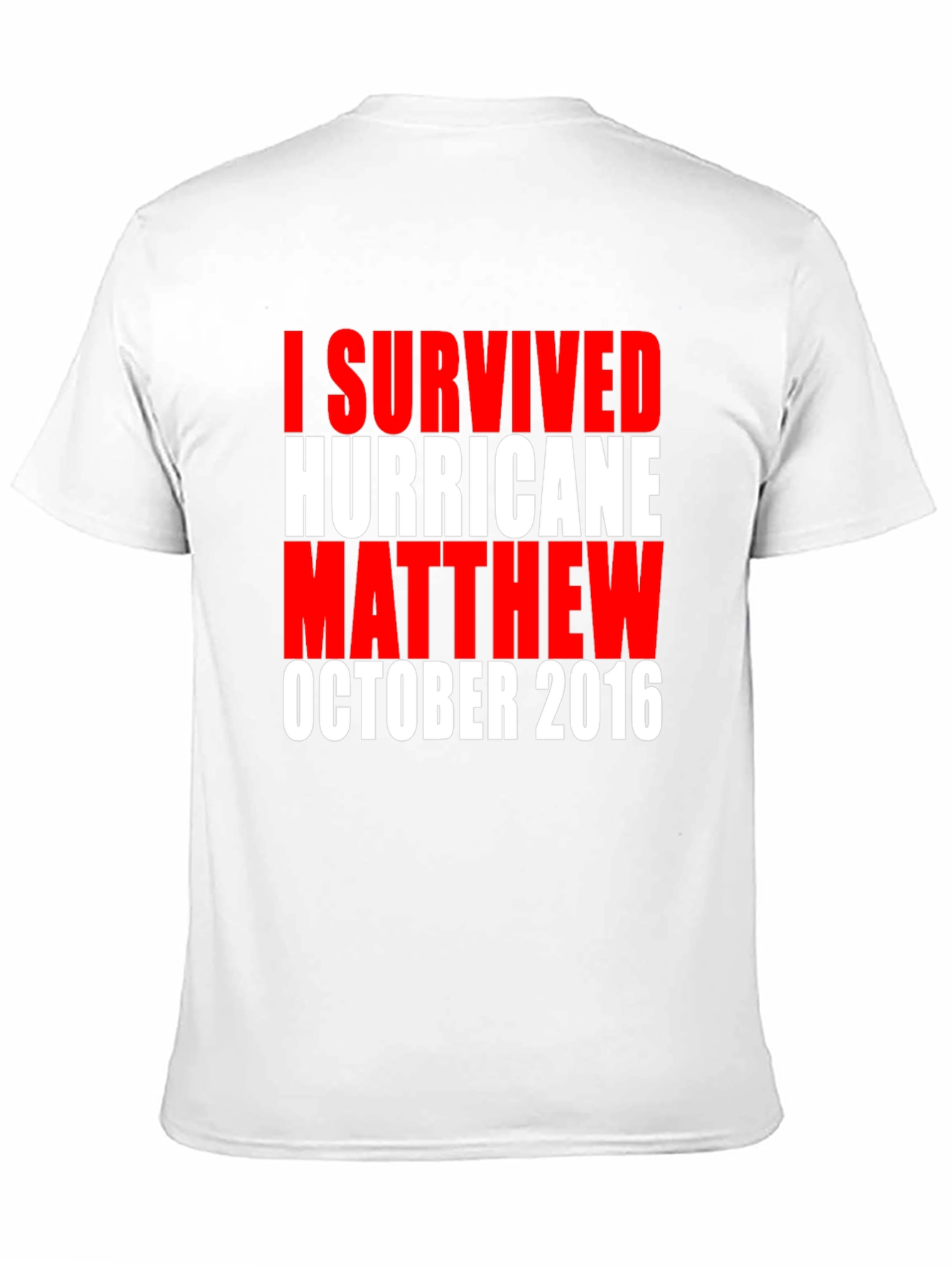 I Survived Hurricane Matthew Tee