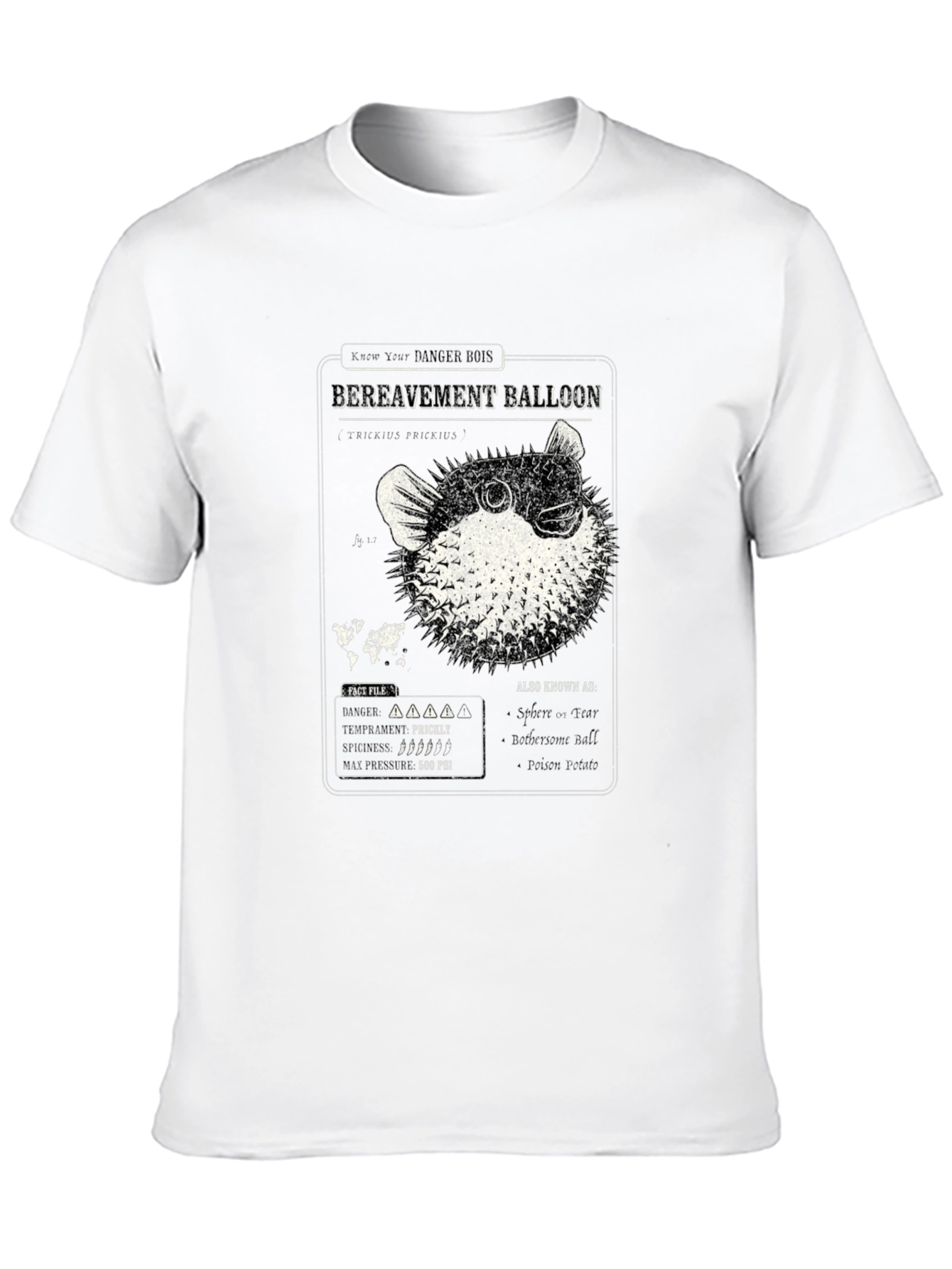 Bereavement Balloon Graphic T-Shirt