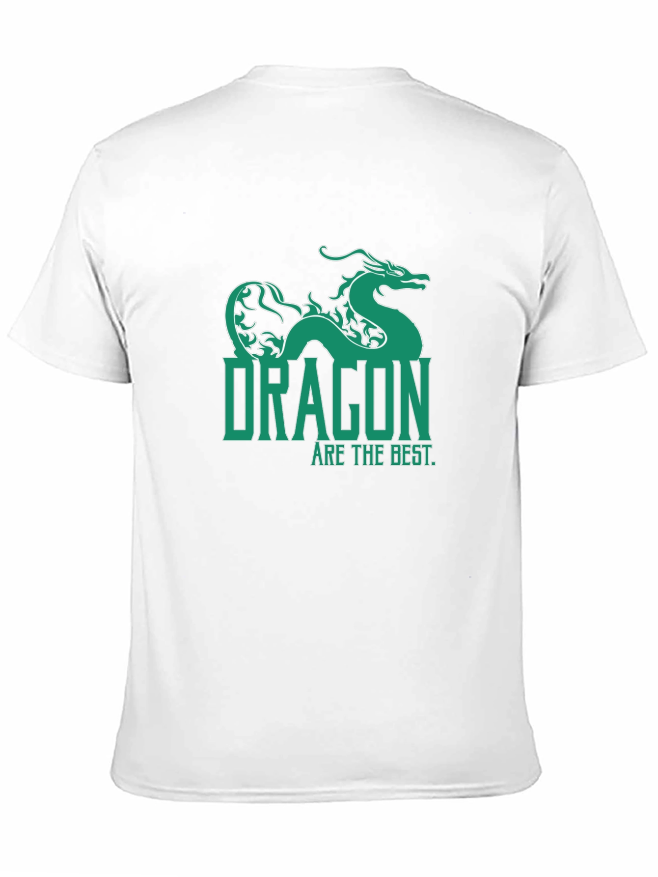 Dragon Are The Best Graphic T-Shirt