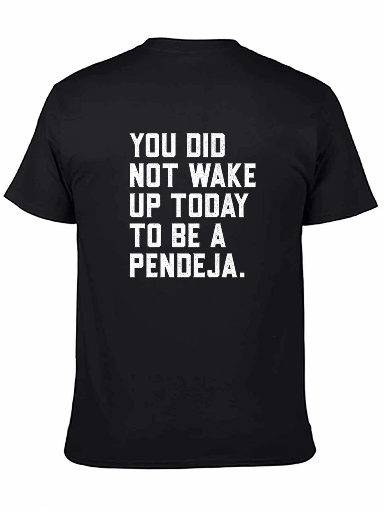 Pendeja Graphic Tee - Sarcastic Womens T-Shirt