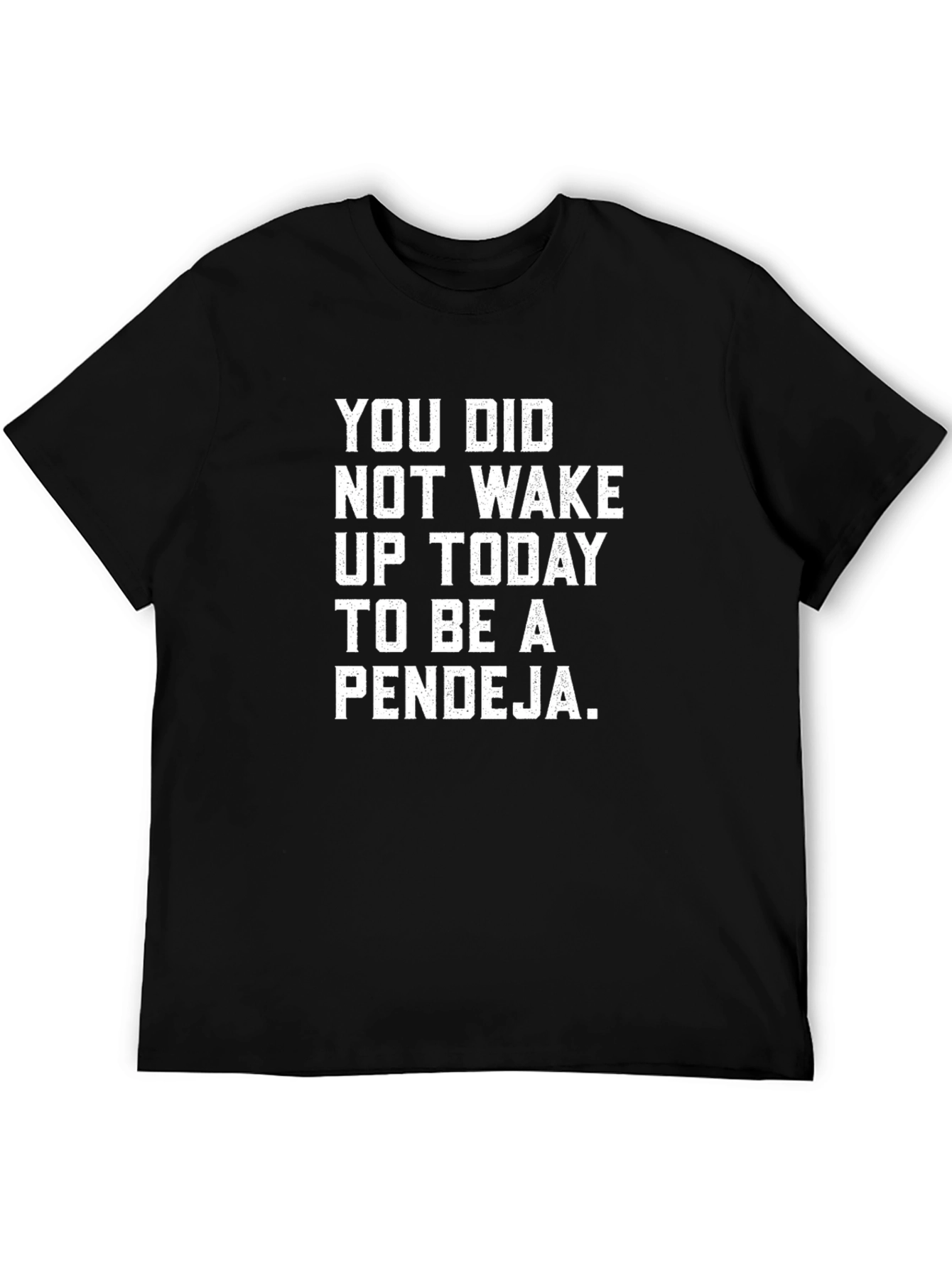 Pendeja Graphic Tee - Sarcastic Womens T-Shirt