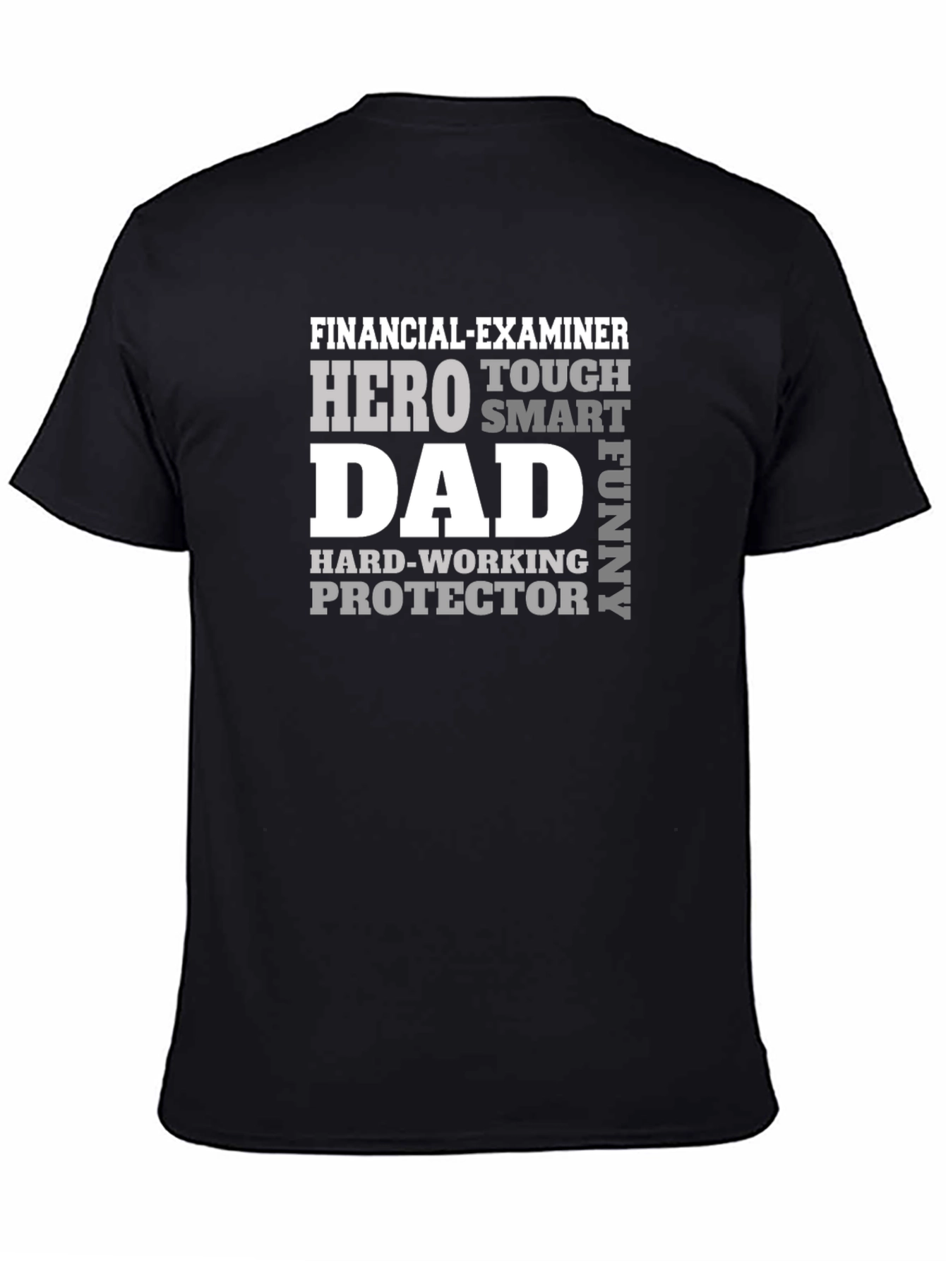 Financial Examiner Dad T-Shirt - Hero Smart Funny