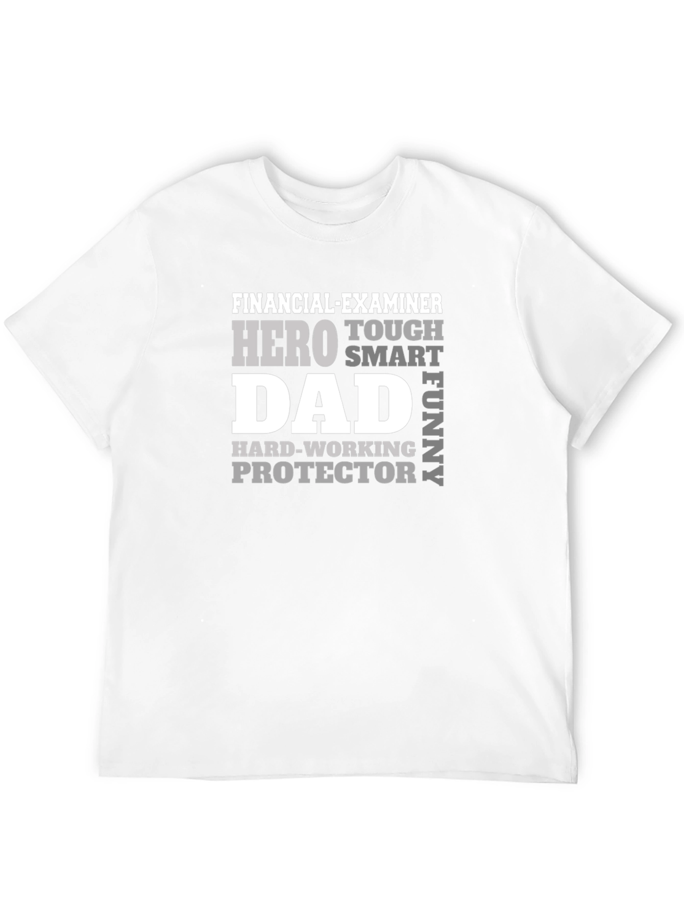 Financial Examiner Dad T-Shirt - Hero Smart Funny