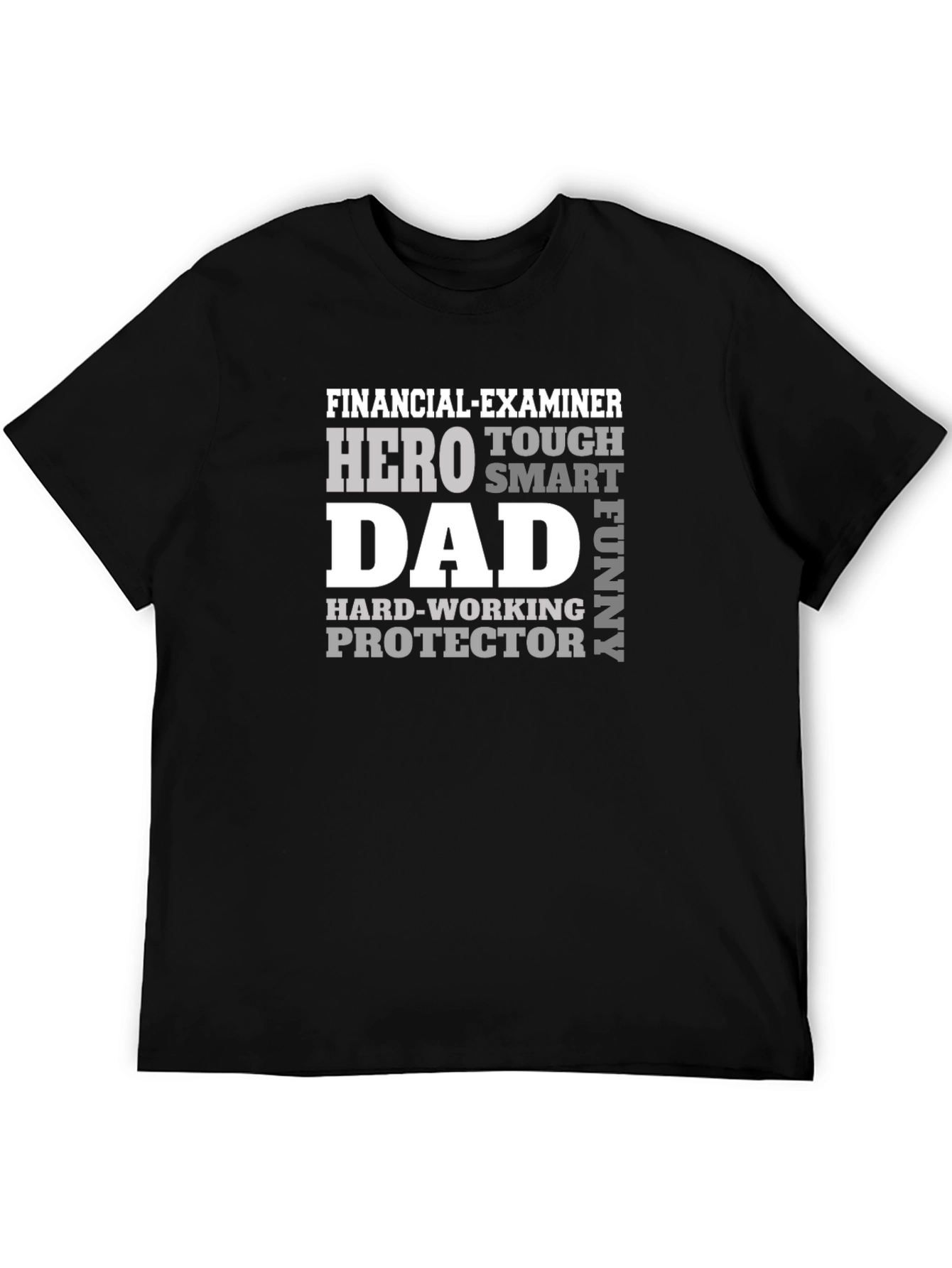Financial Examiner Dad T-Shirt - Hero Smart Funny