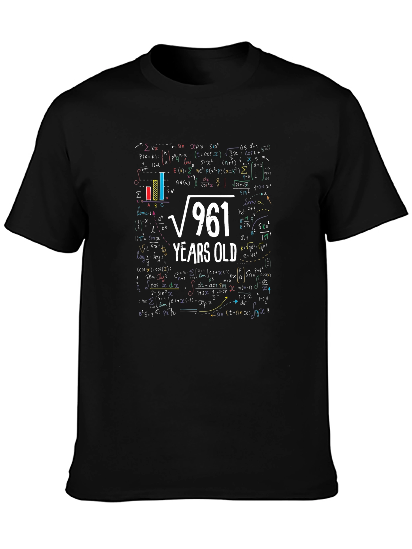 Funny 31st Birthday Math T-Shirt