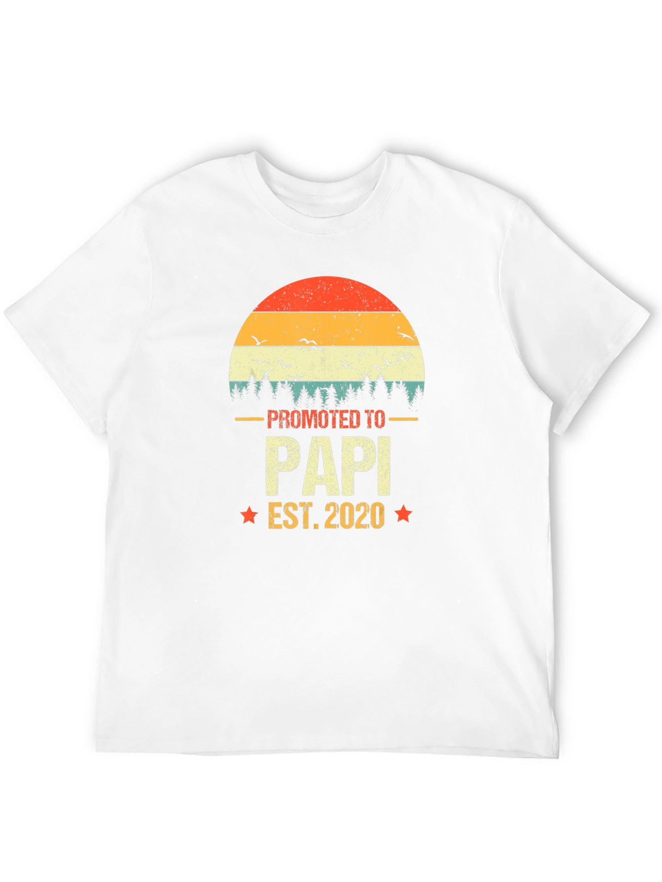 Promoted to Papi 2020 Mens T-Shirt