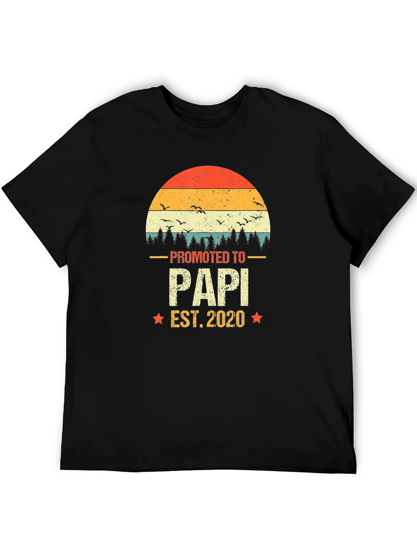 Promoted to Papi 2020 Mens T-Shirt