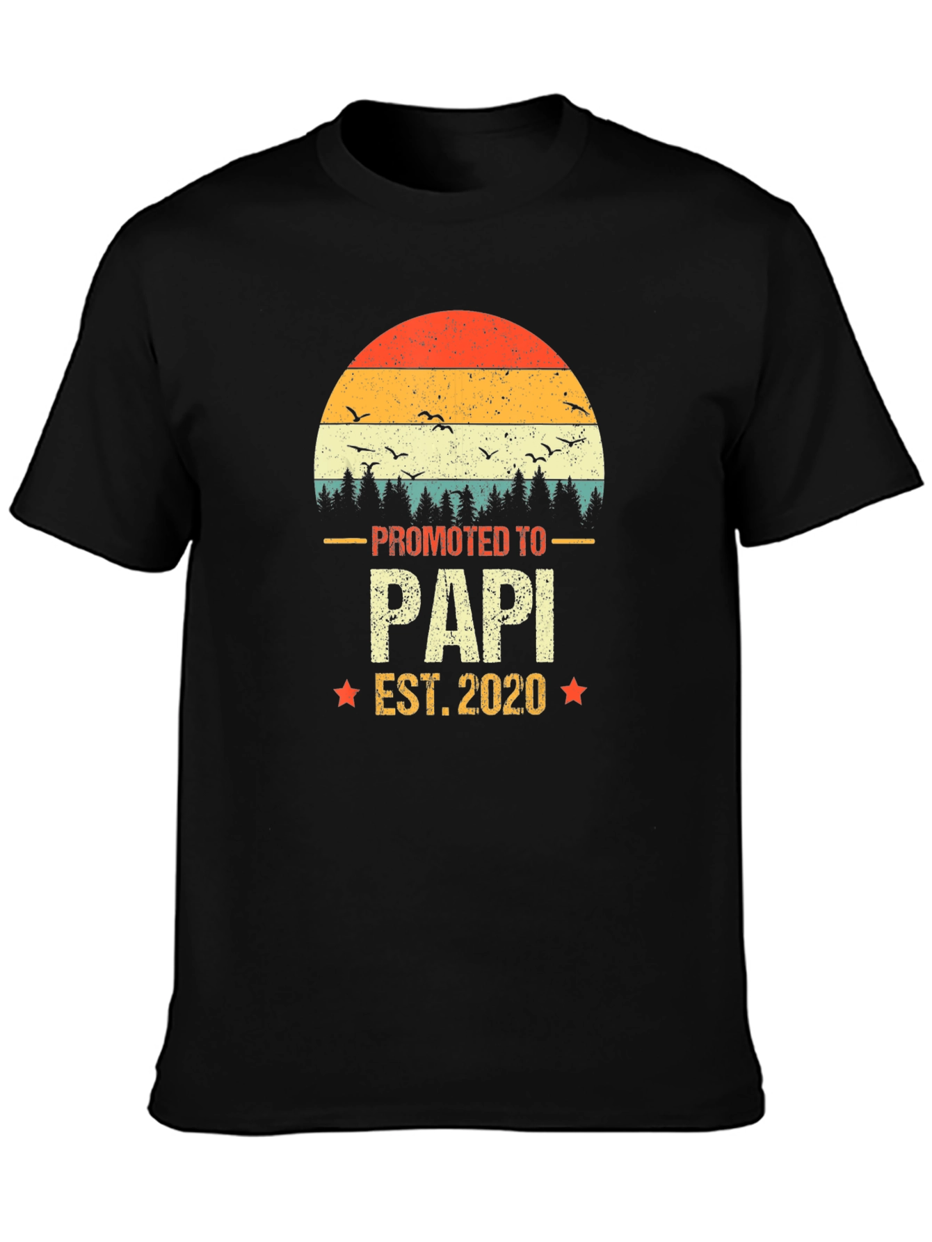 Promoted to Papi 2020 Mens T-Shirt