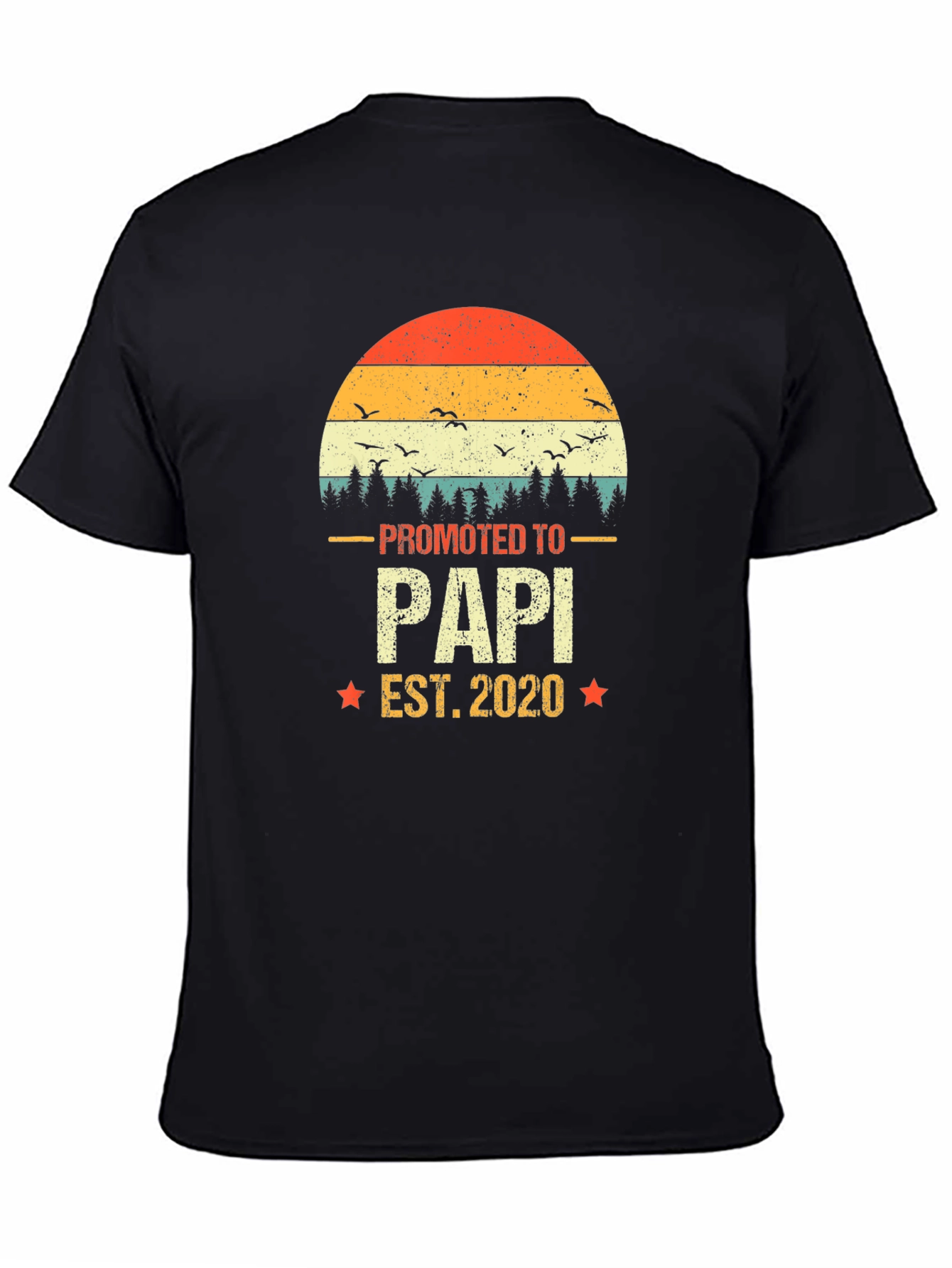 Promoted to Papi 2020 Mens T-Shirt